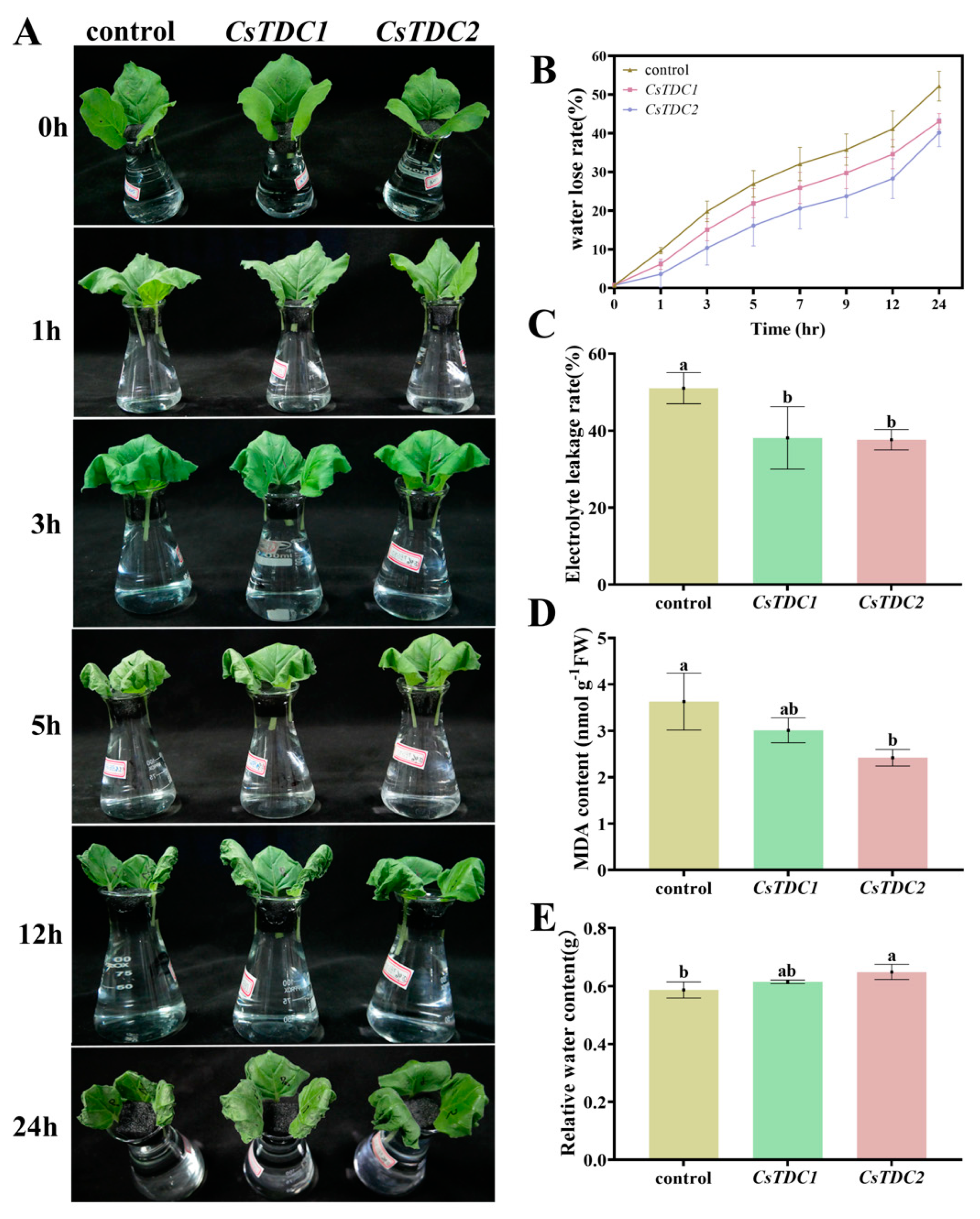 Horticulturae 10 00307 g008