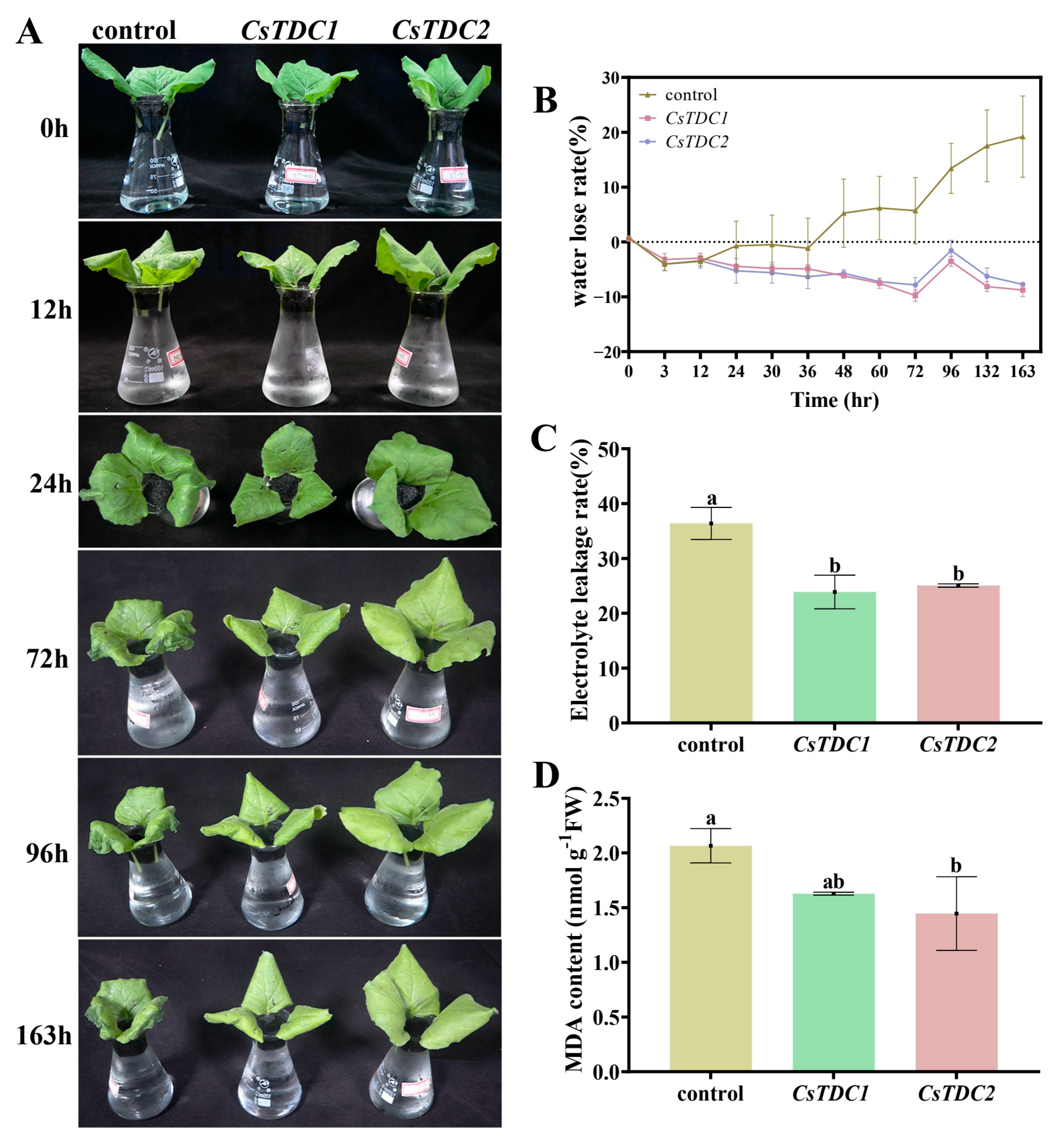 Horticulturae 10 00307 g009