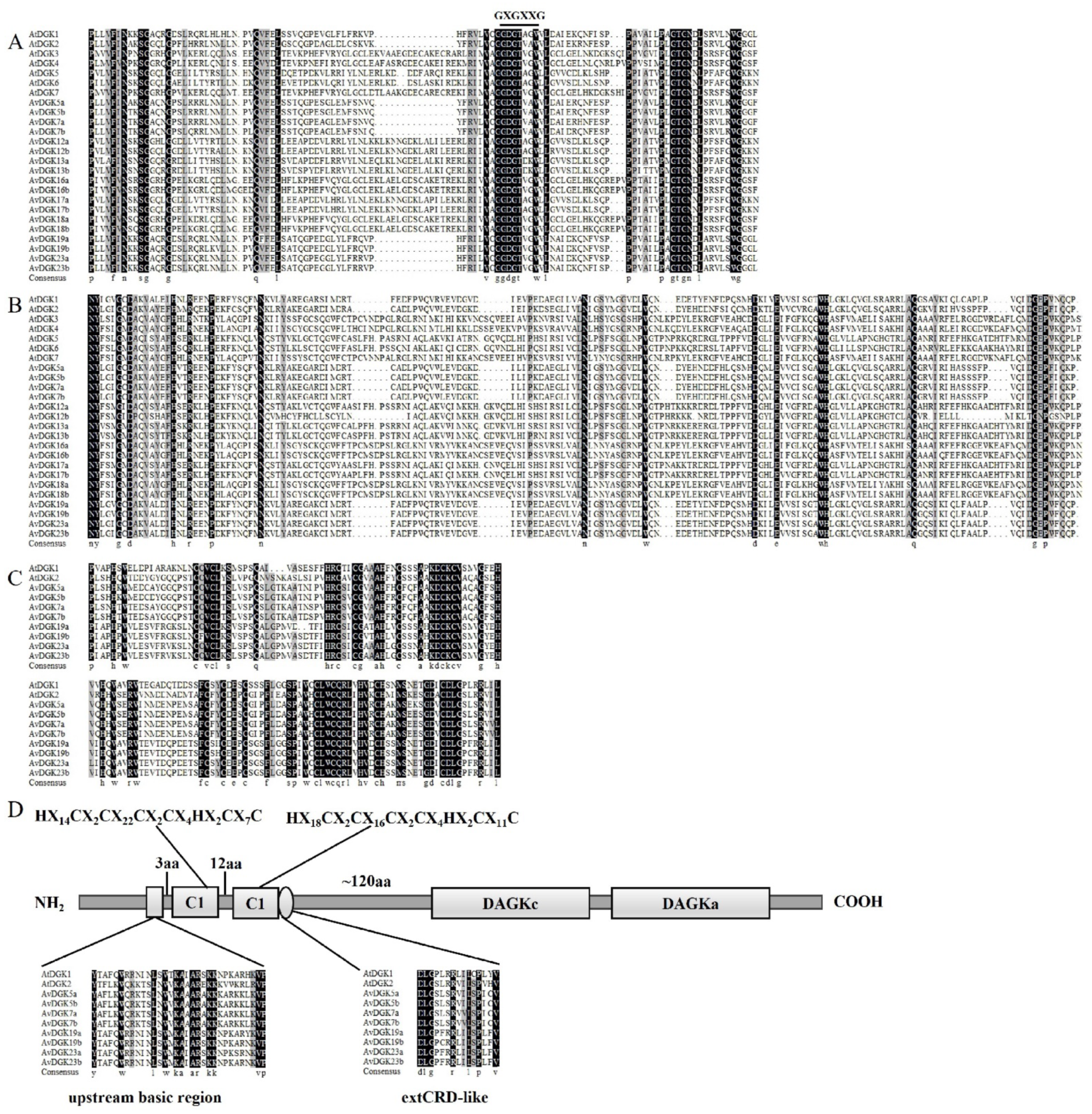 Horticulturae 10 00310 g003