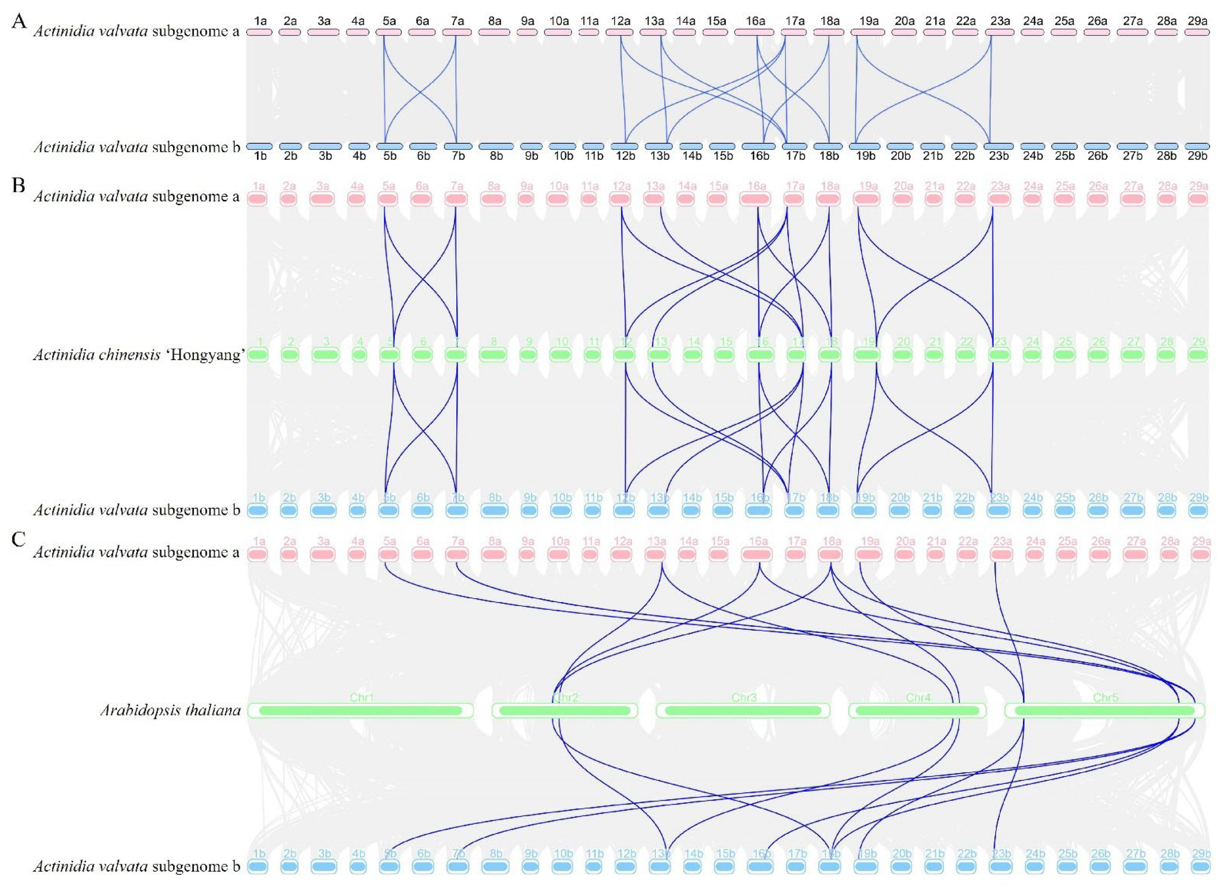 Horticulturae 10 00310 g008