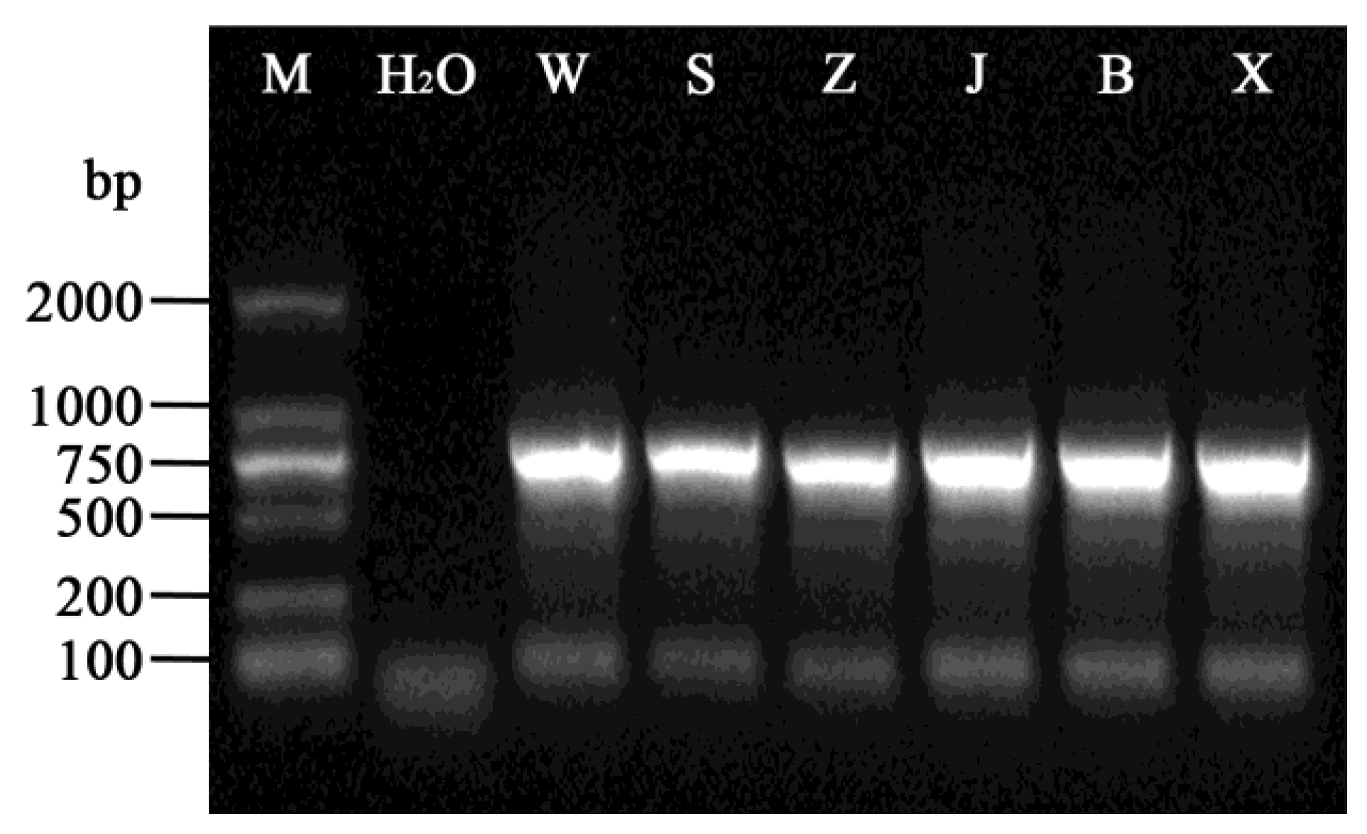 Horticulturae 10 00311 g005
