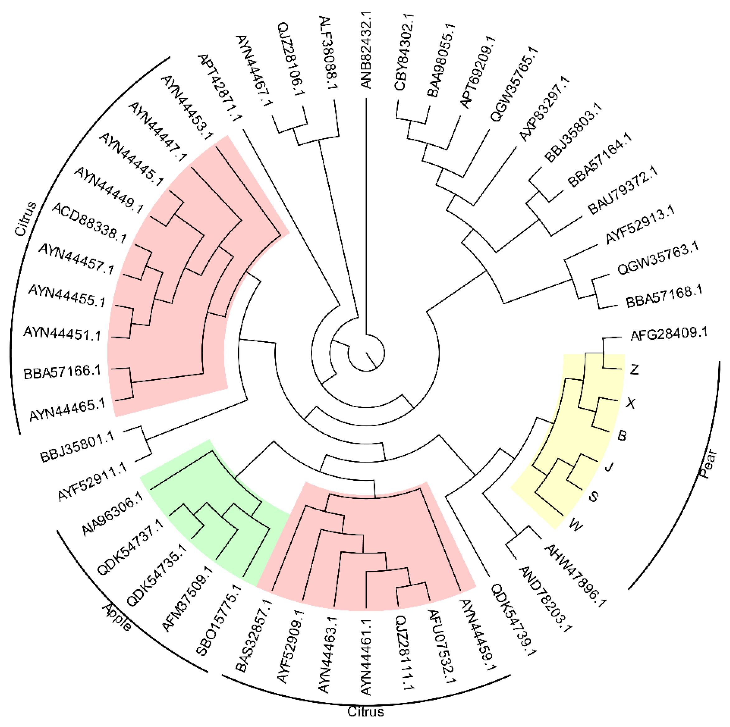 Horticulturae 10 00311 g007