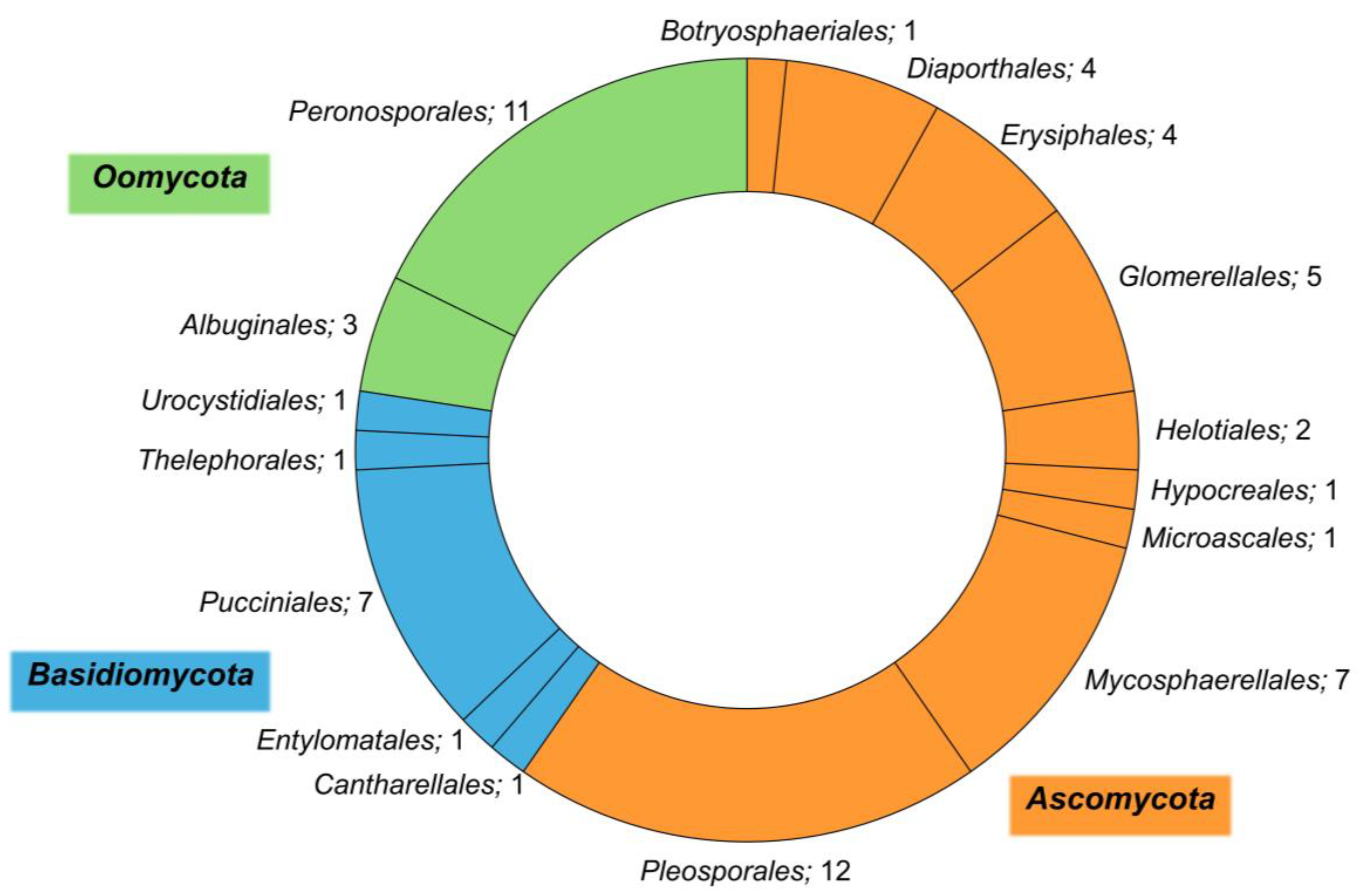 Horticulturae 10 00313 g002 Horticulturae 10 00313 g002