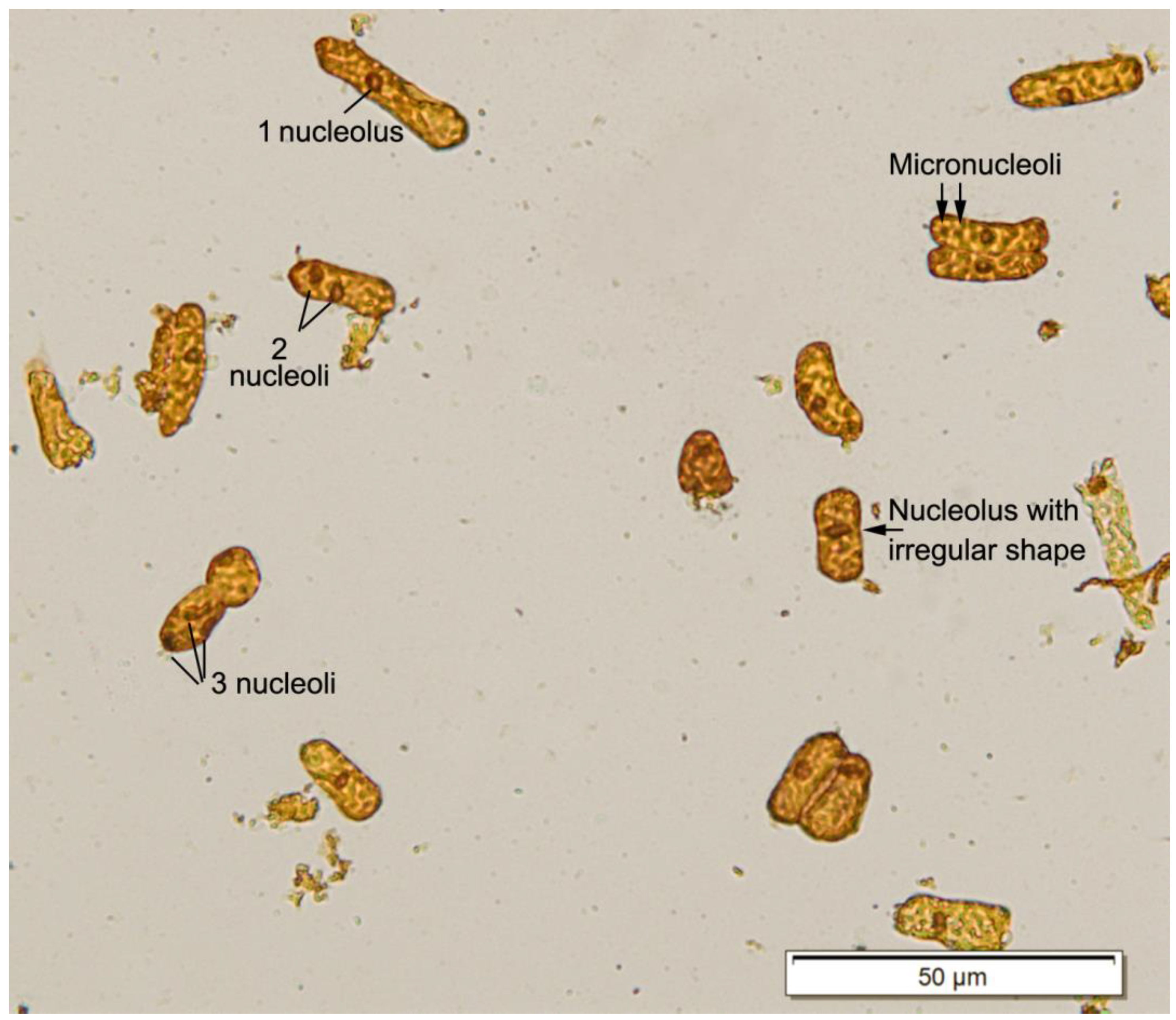 Horticulturae 10 00314 g002 Horticulturae 10 00314 g002