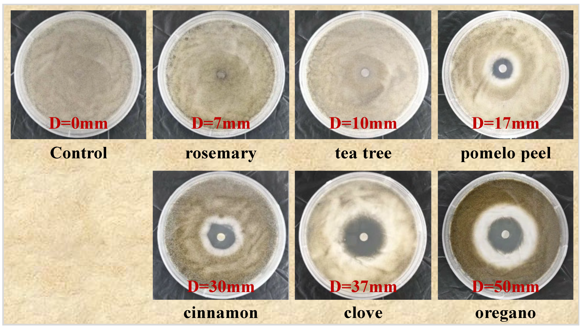 Horticulturae 10 00318 g001