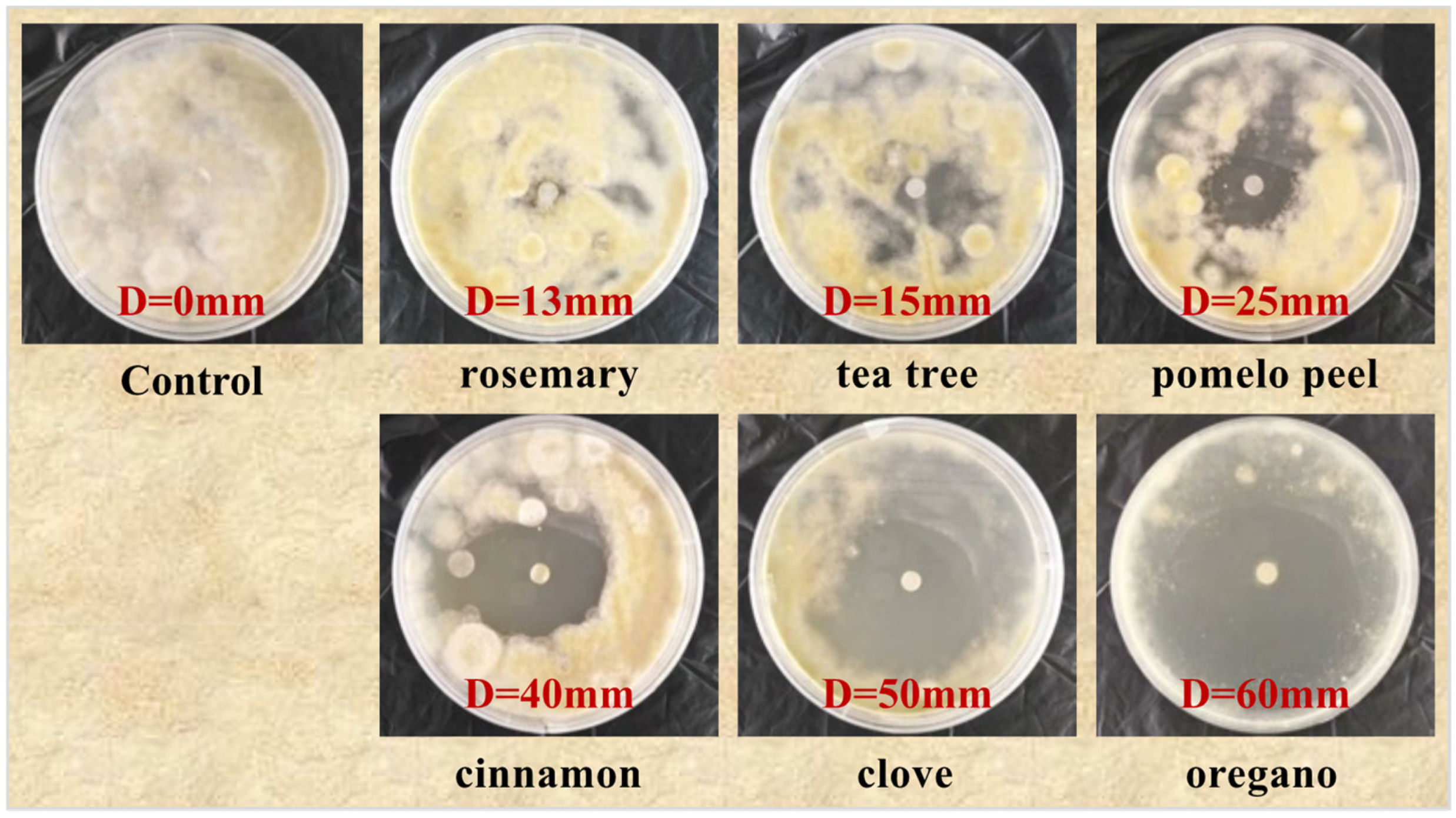 Horticulturae 10 00318 g002