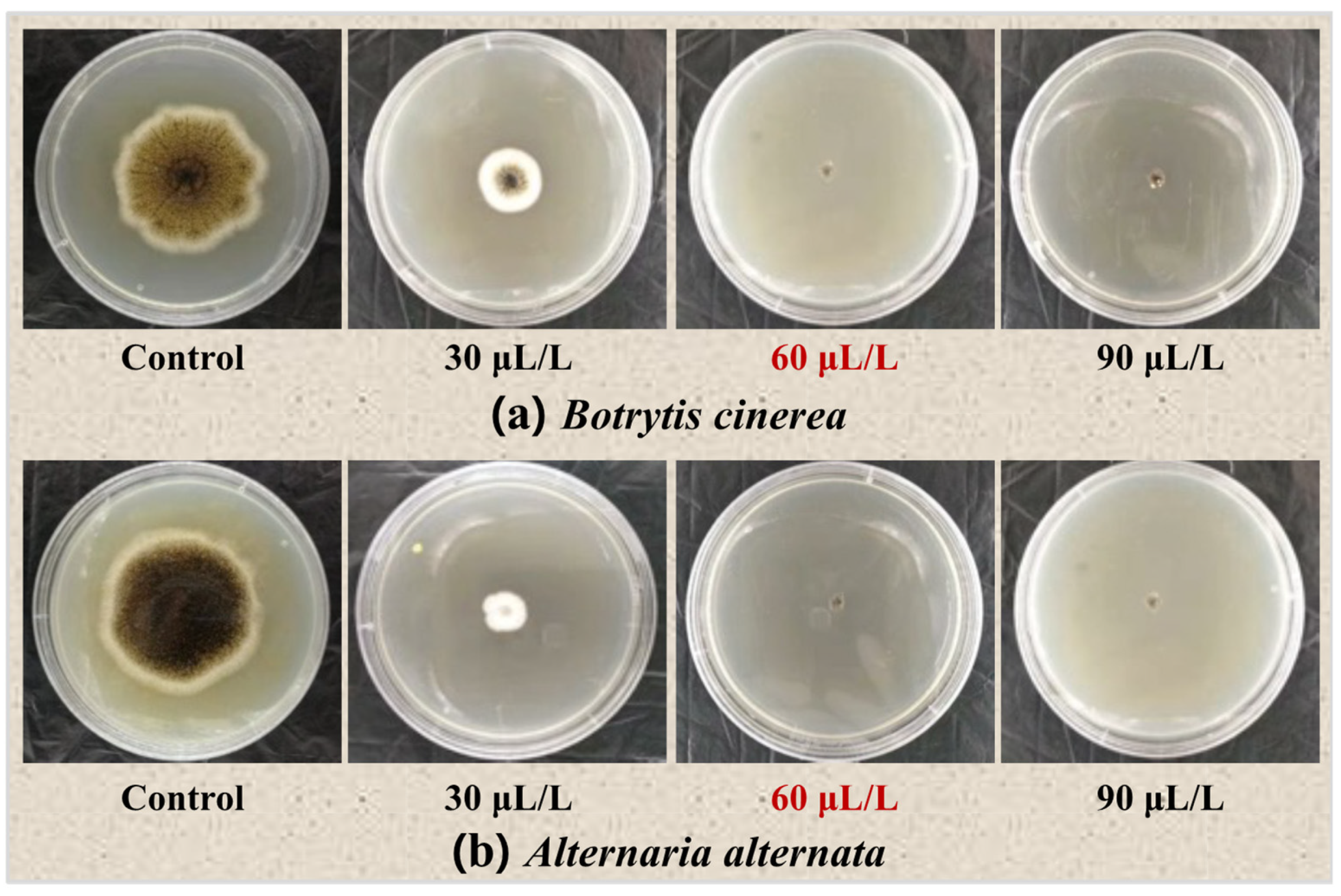 Horticulturae 10 00318 g003