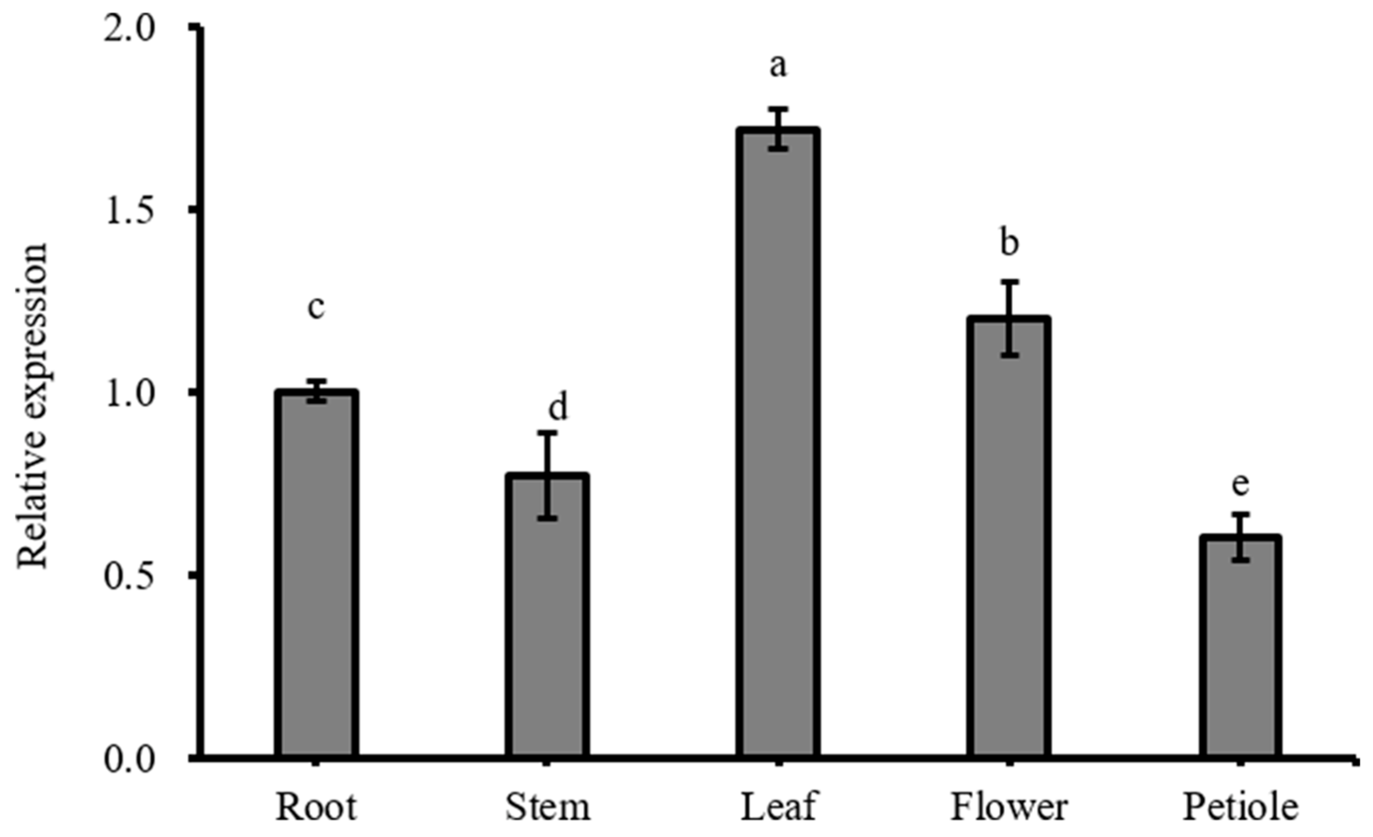 Horticulturae 10 00324 g002