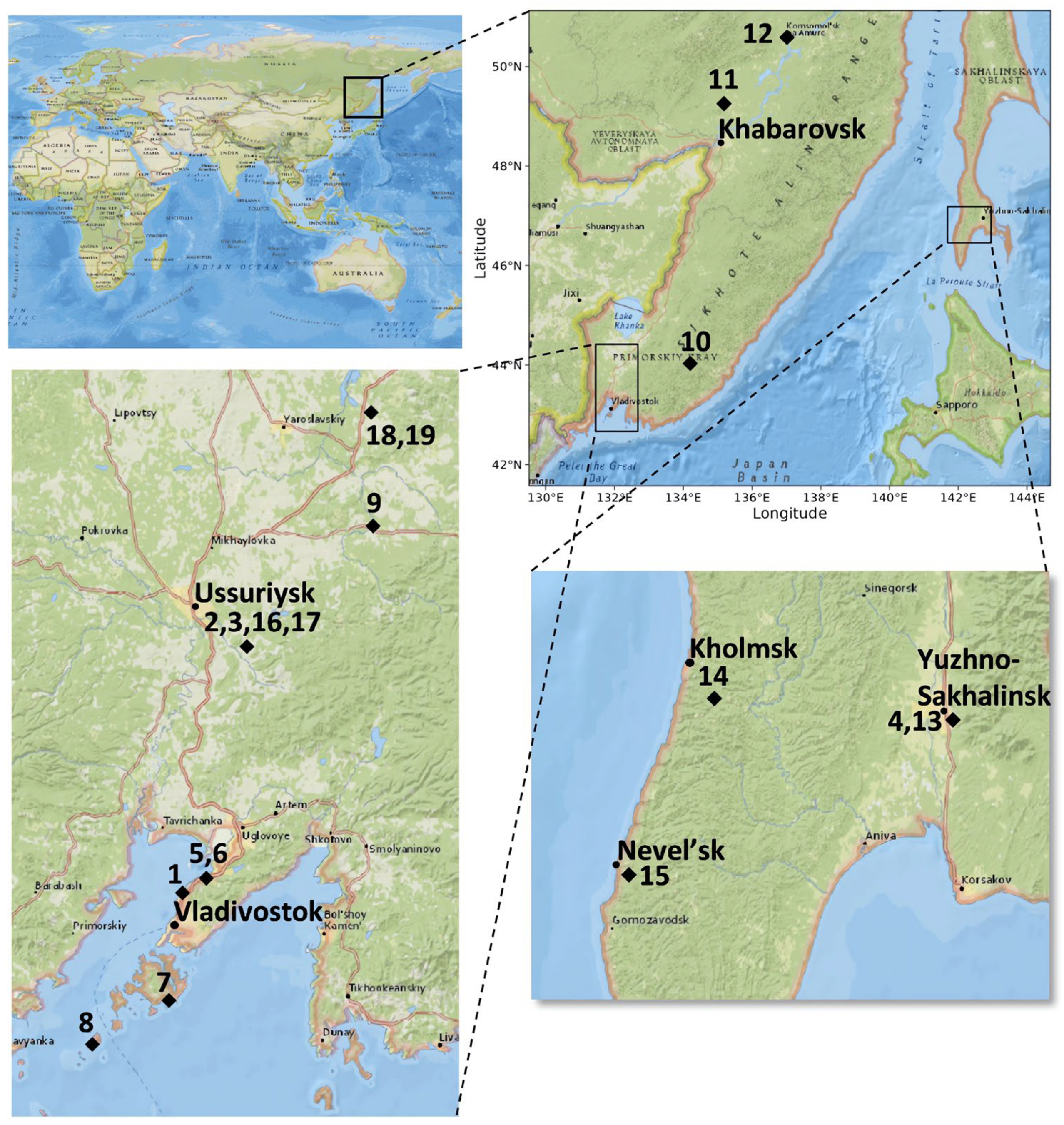Distribution of Plasmopara viticola Causing Downy Mildew in Russian Far East Grapevines Distribution of Plasmopara viticola Causing Downy Mildew in Russian Far East Grapevines