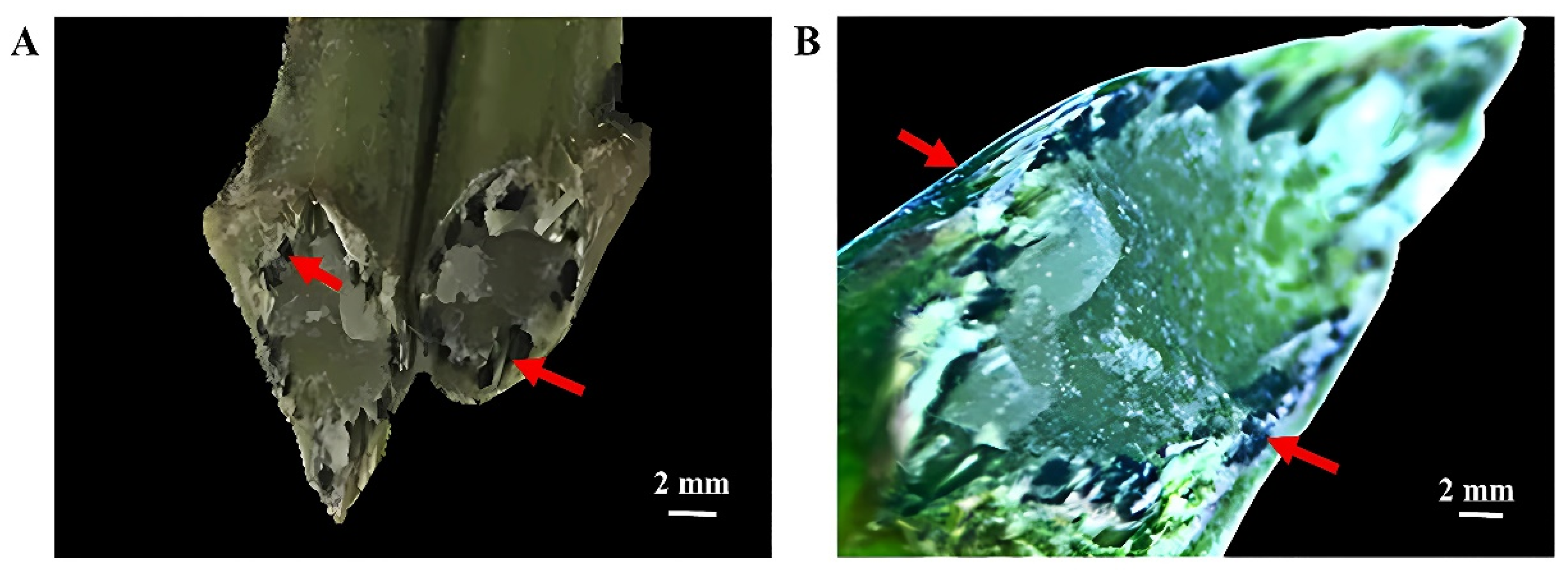 Horticulturae 10 00330 g006