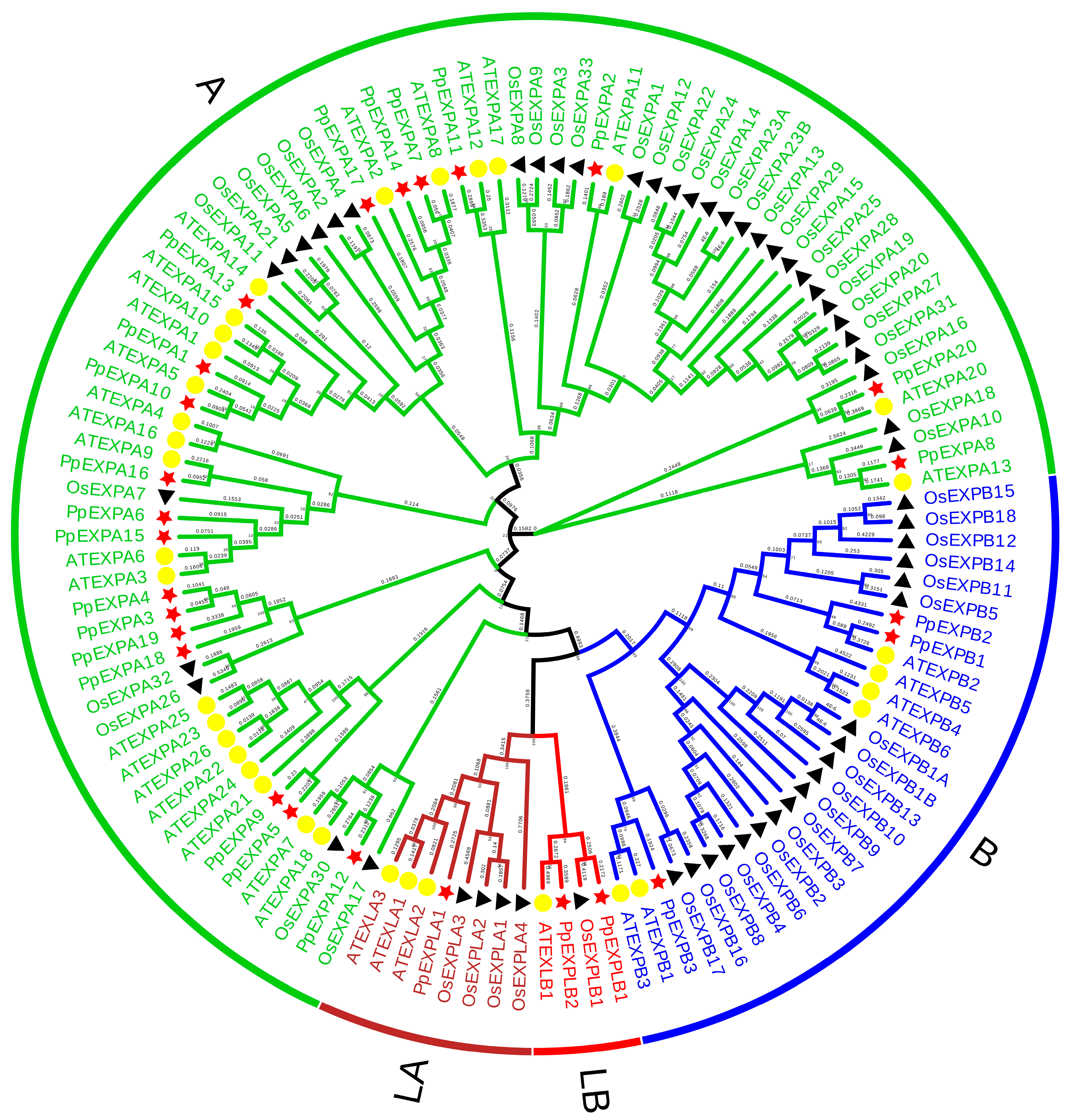 Horticulturae 10 00332 g001 Horticulturae 10 00332 g001