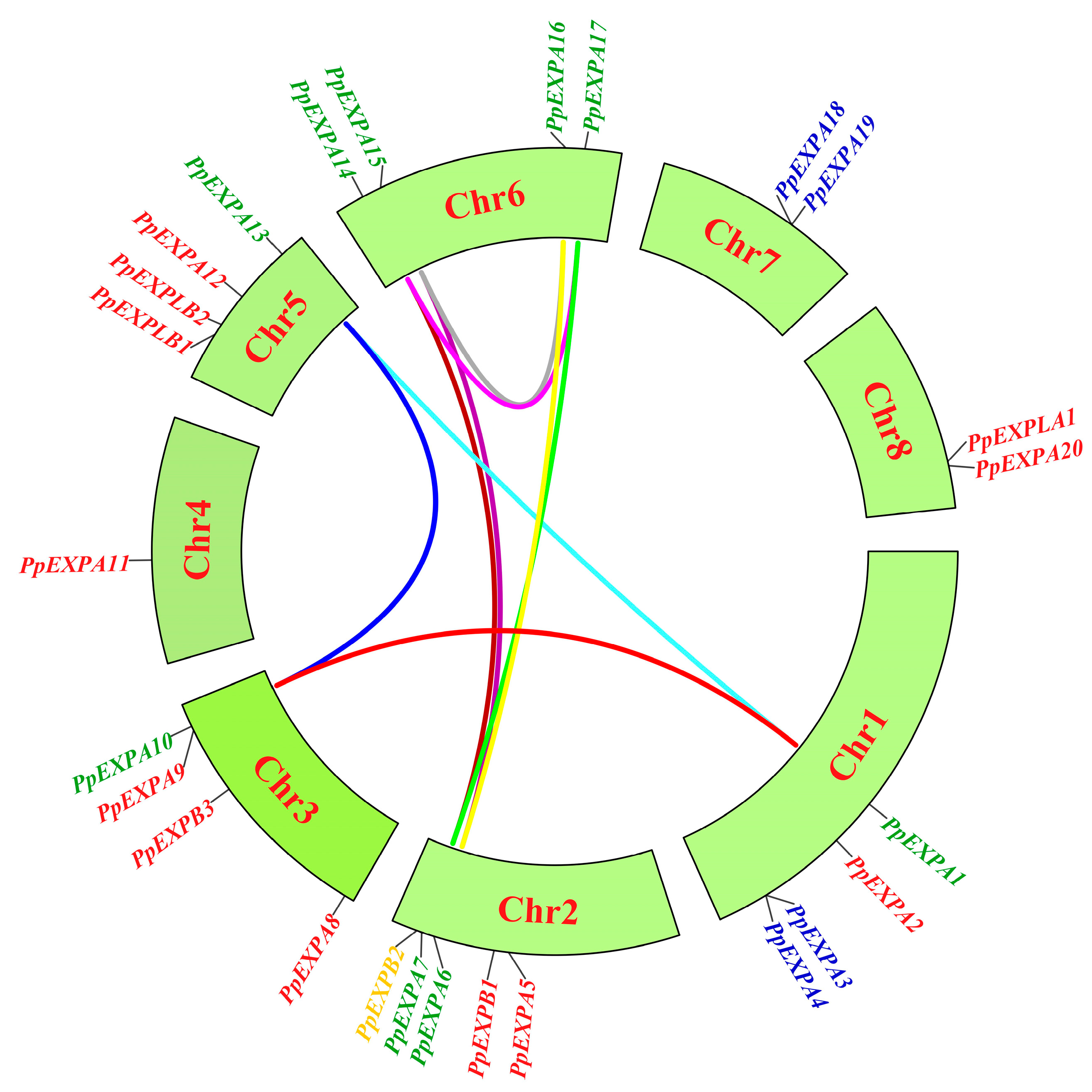 Horticulturae 10 00332 g003 Horticulturae 10 00332 g003