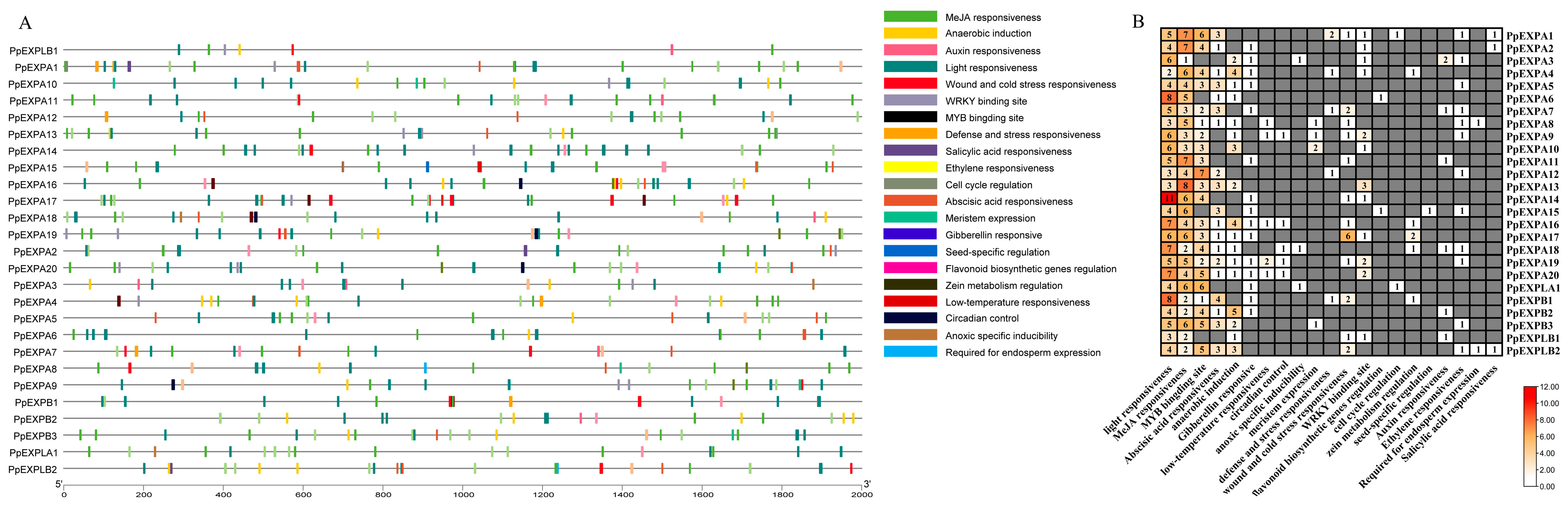 Horticulturae 10 00332 g004 Horticulturae 10 00332 g004