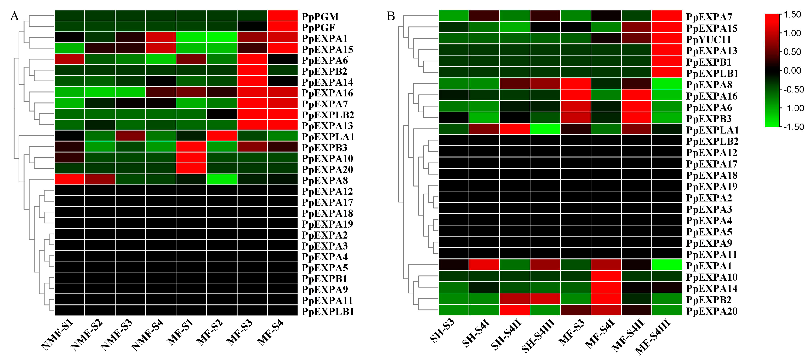 Horticulturae 10 00332 g005 Horticulturae 10 00332 g005