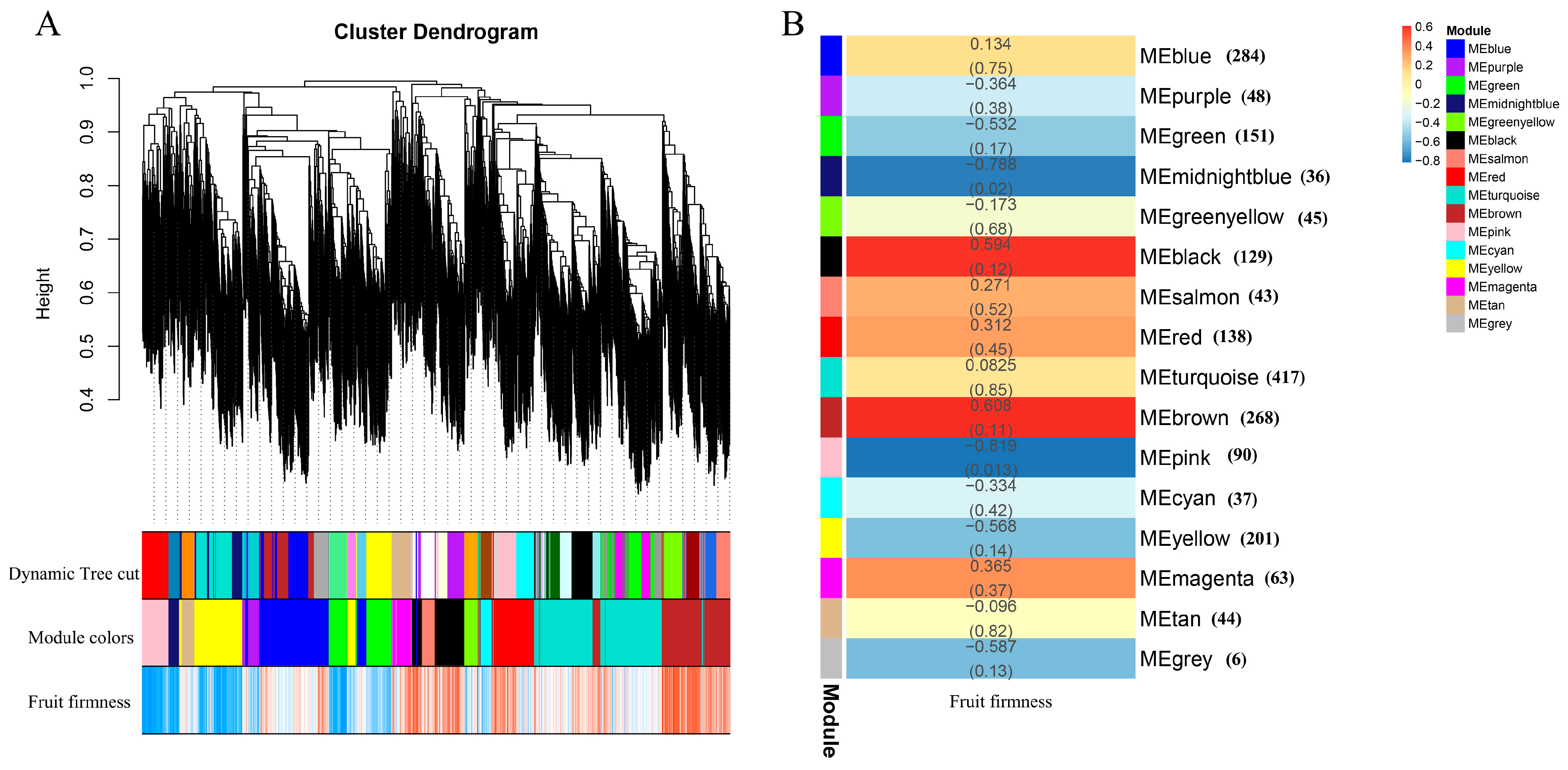 Horticulturae 10 00332 g006 Horticulturae 10 00332 g006