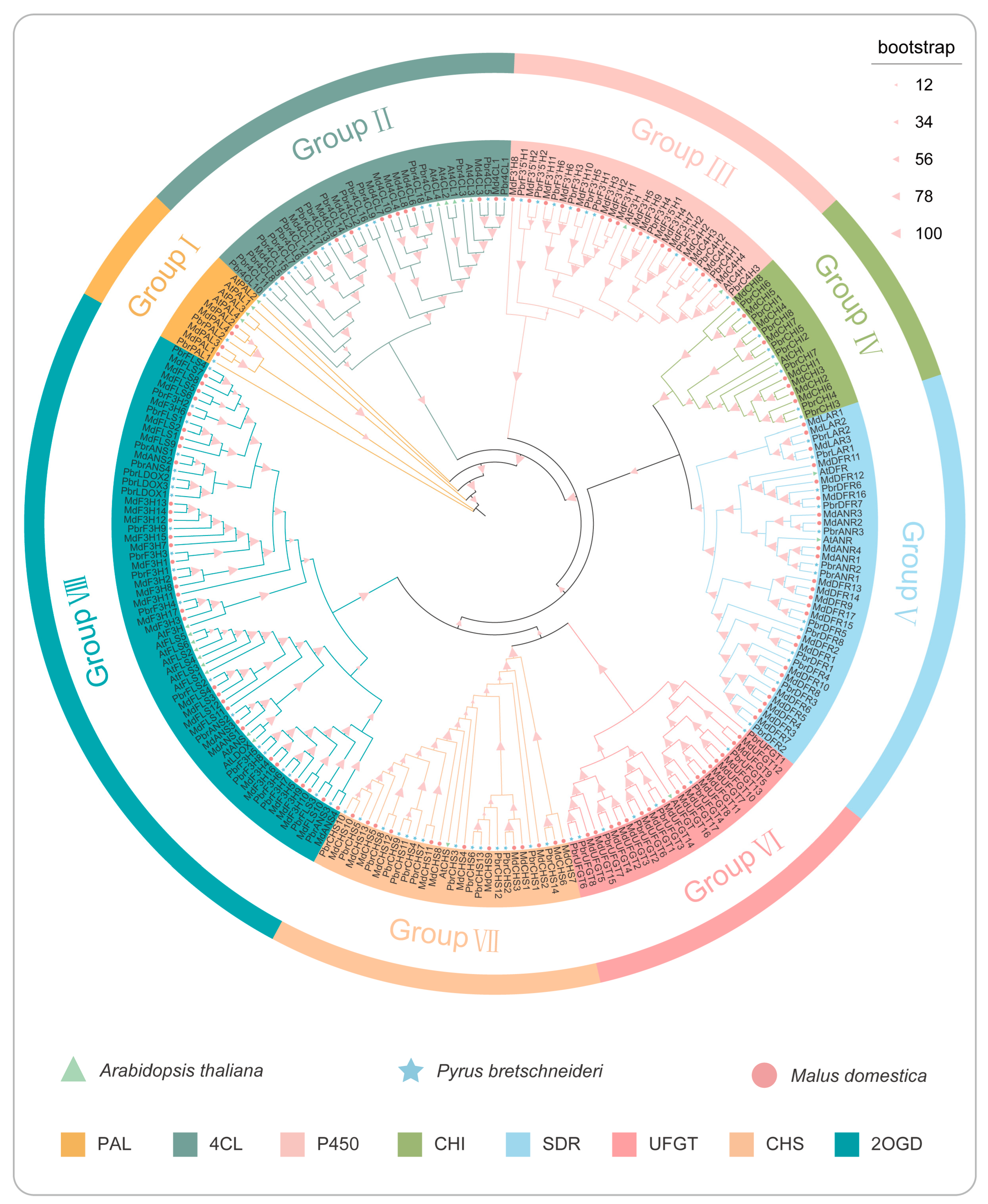 Horticulturae 10 00335 g002