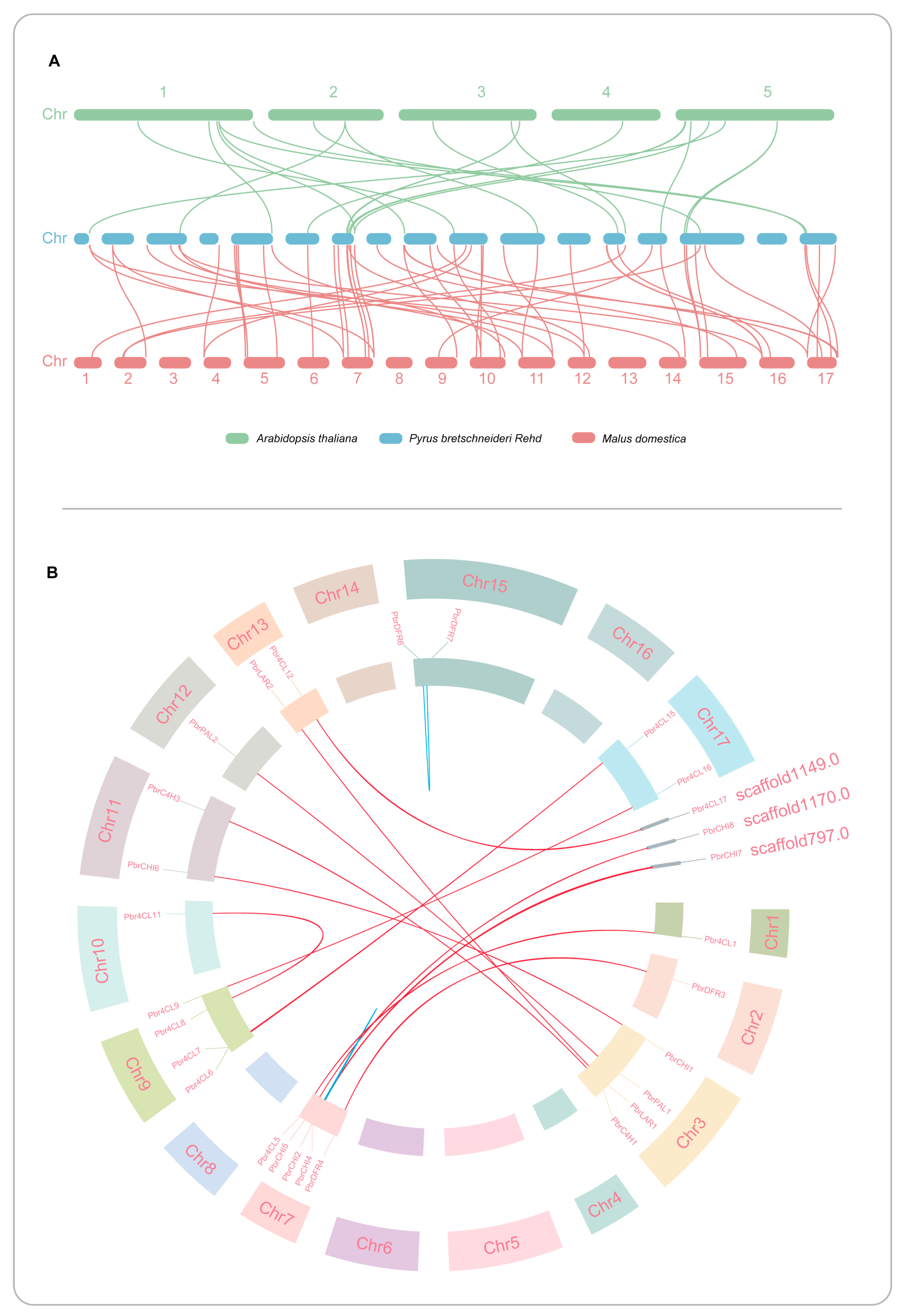 Horticulturae 10 00335 g004