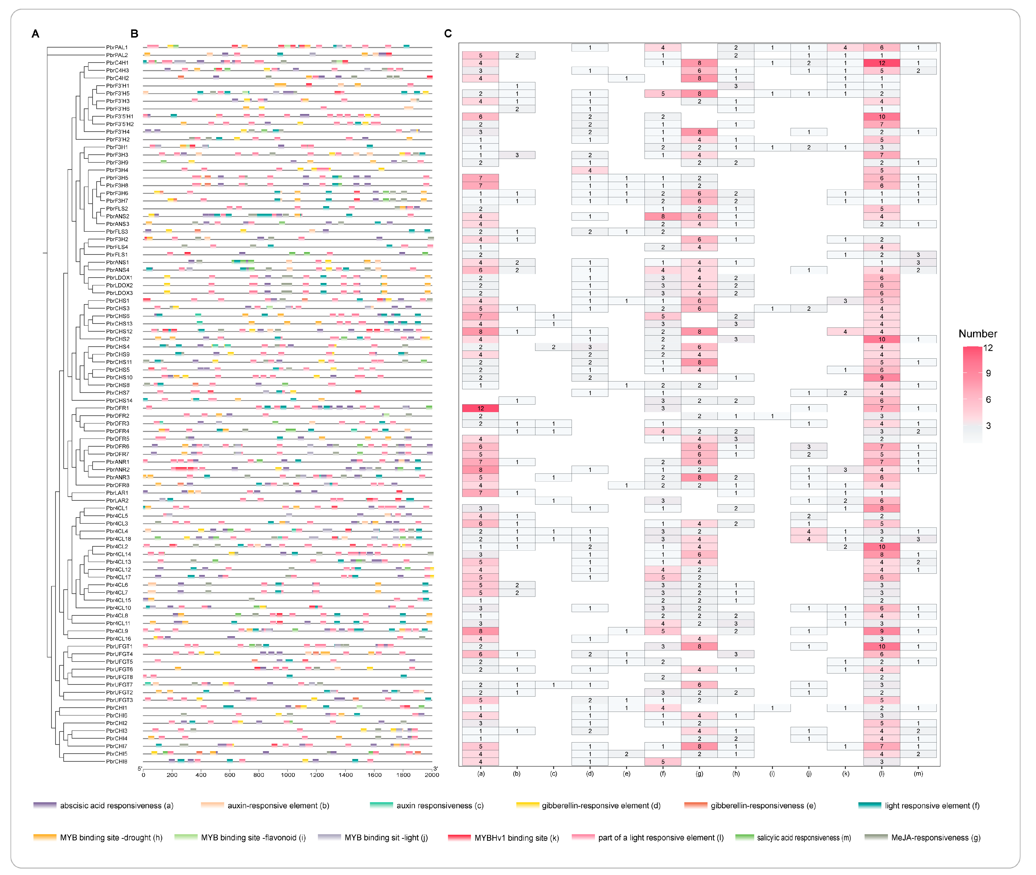 Horticulturae 10 00335 g005