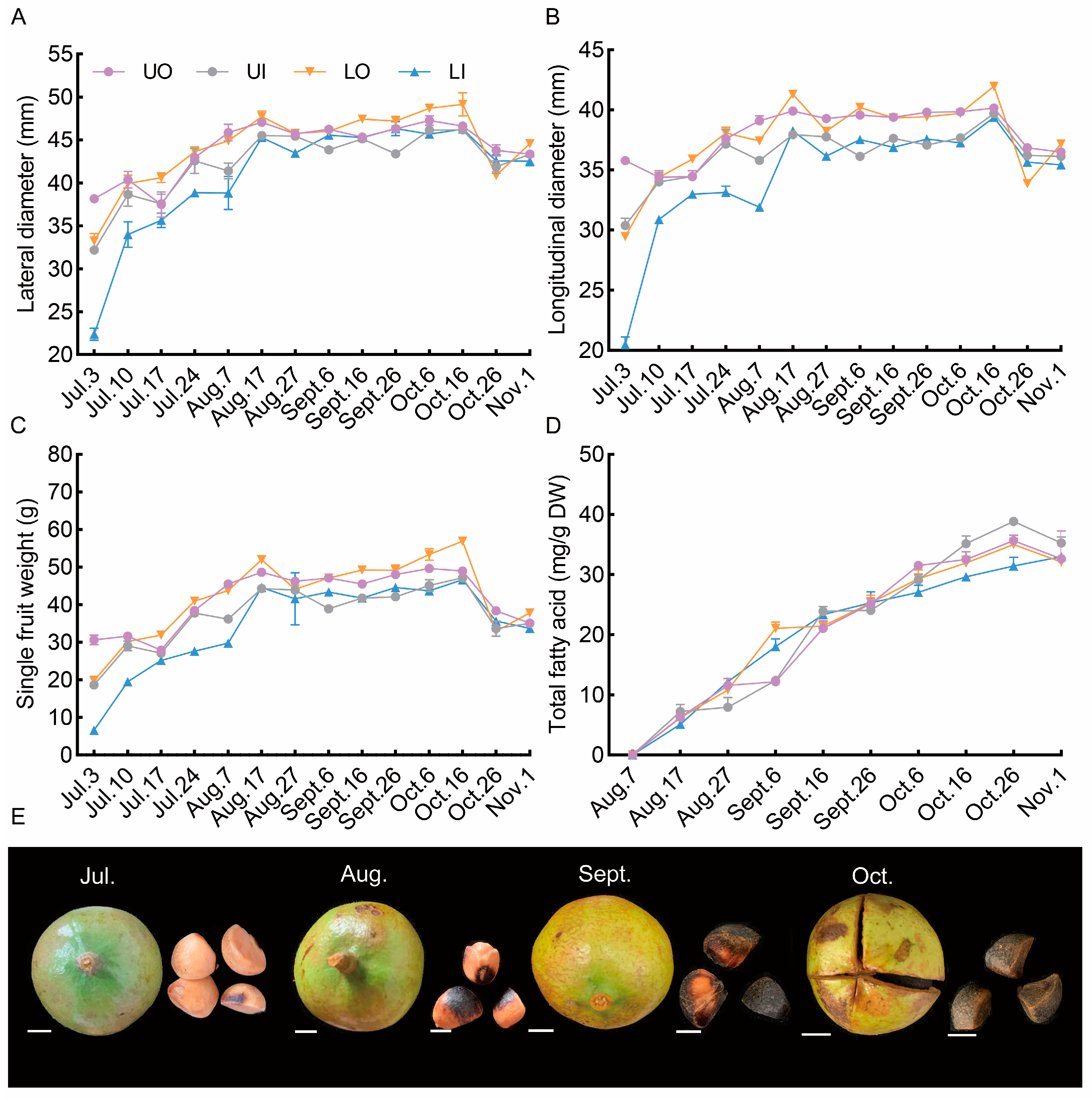 Horticulturae 10 00343 g003