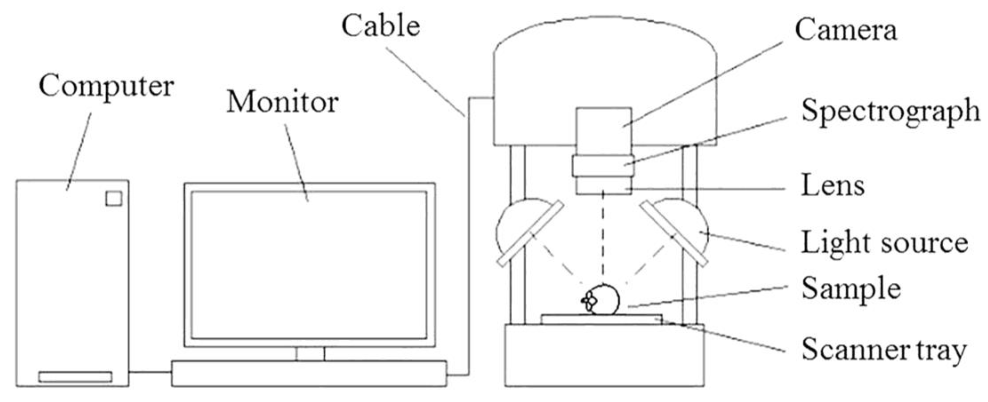 Horticulturae 10 00345 g001
