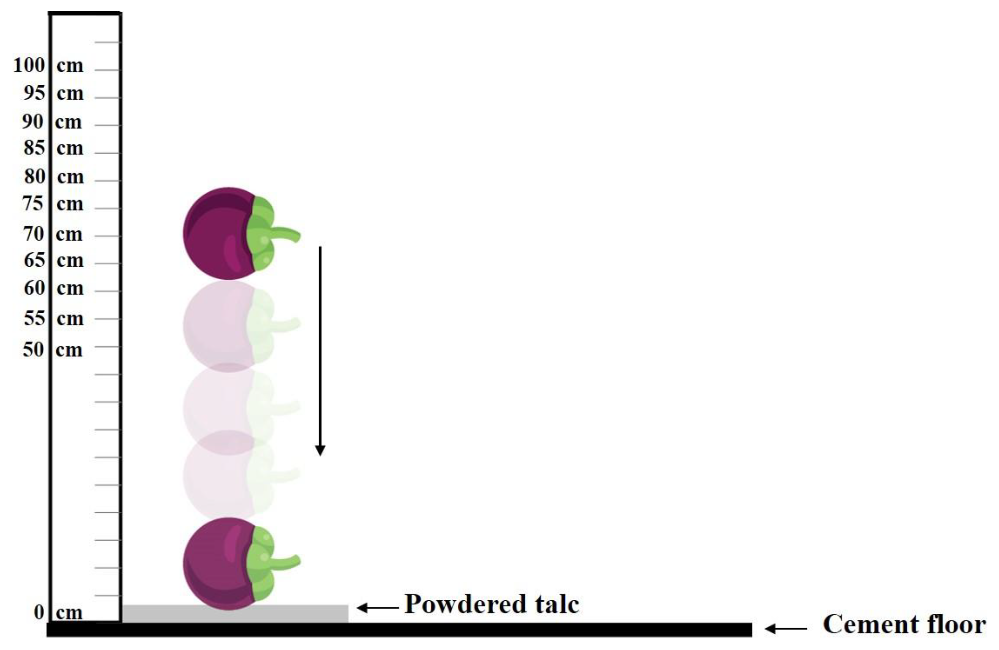 Horticulturae 10 00345 g002