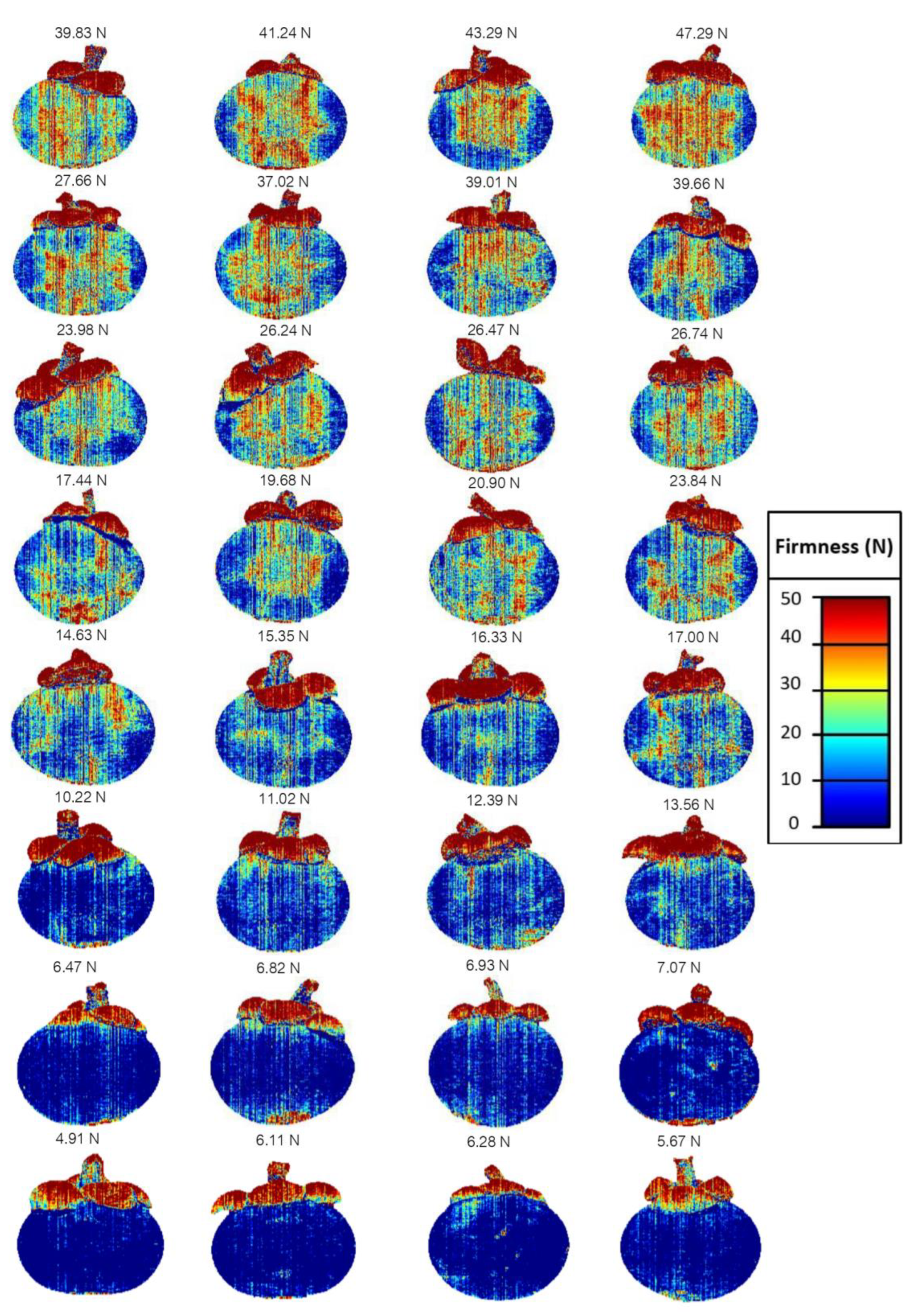 Horticulturae 10 00345 g007