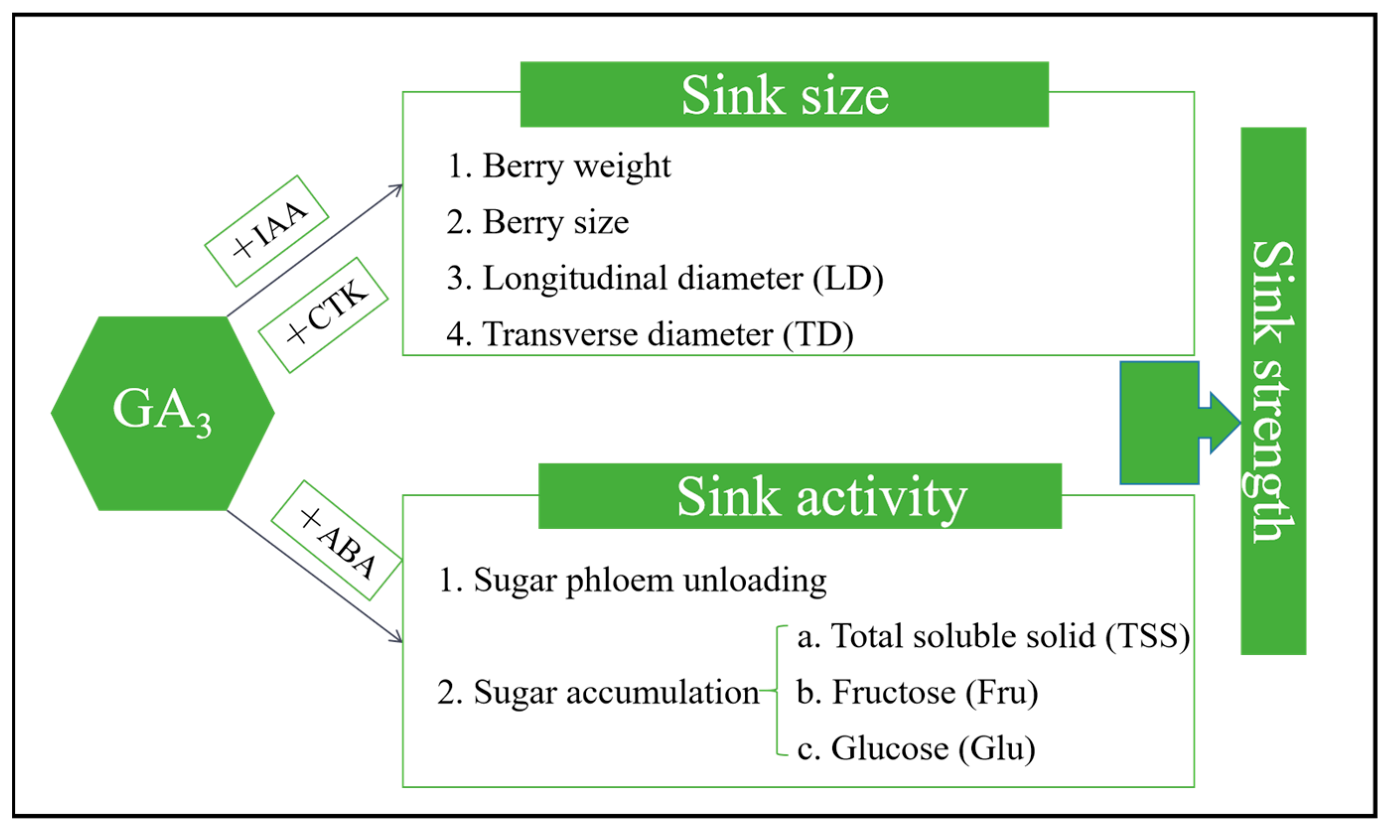 Horticulturae 10 00346 g006