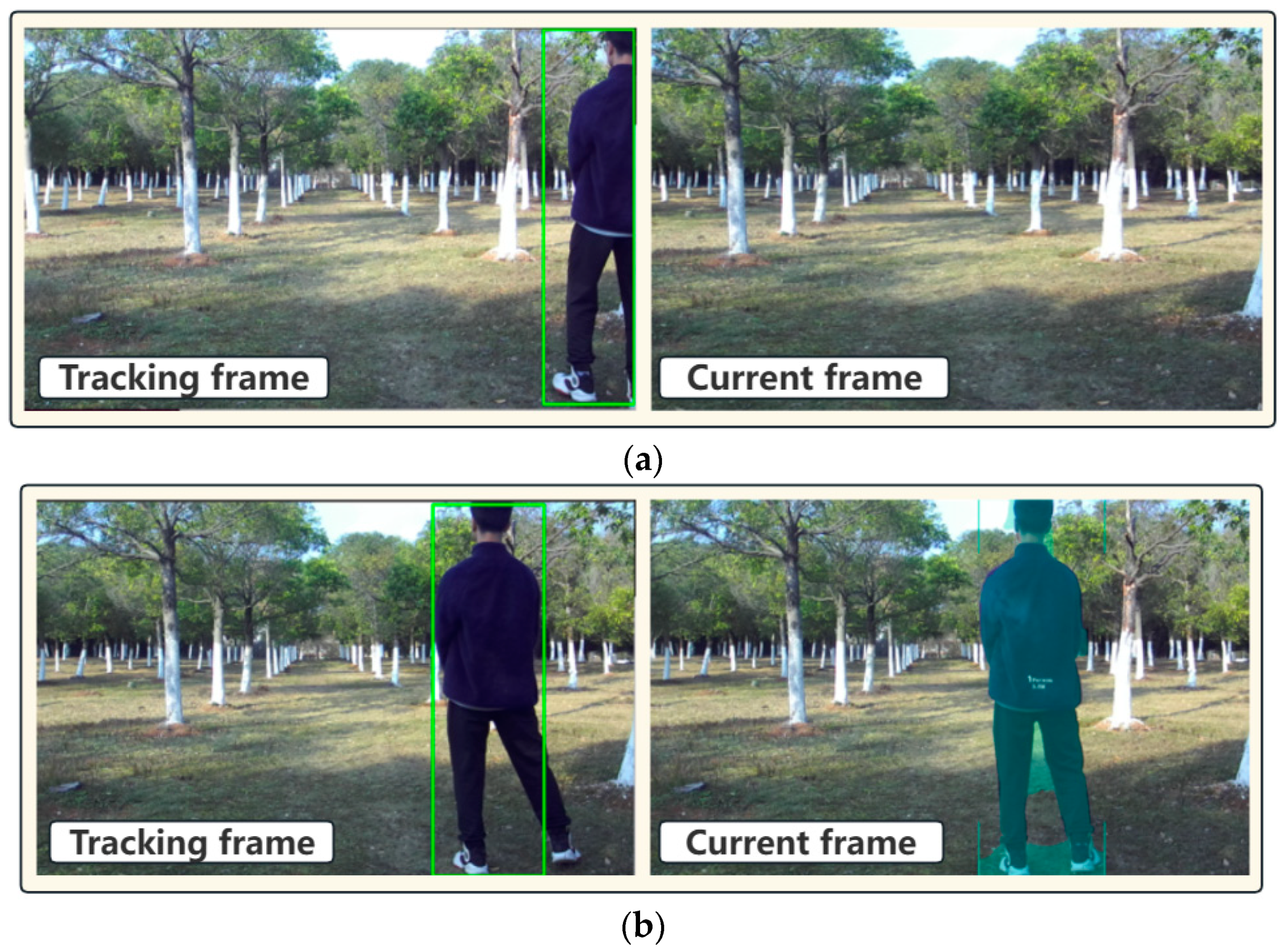Horticulturae 10 00348 g006