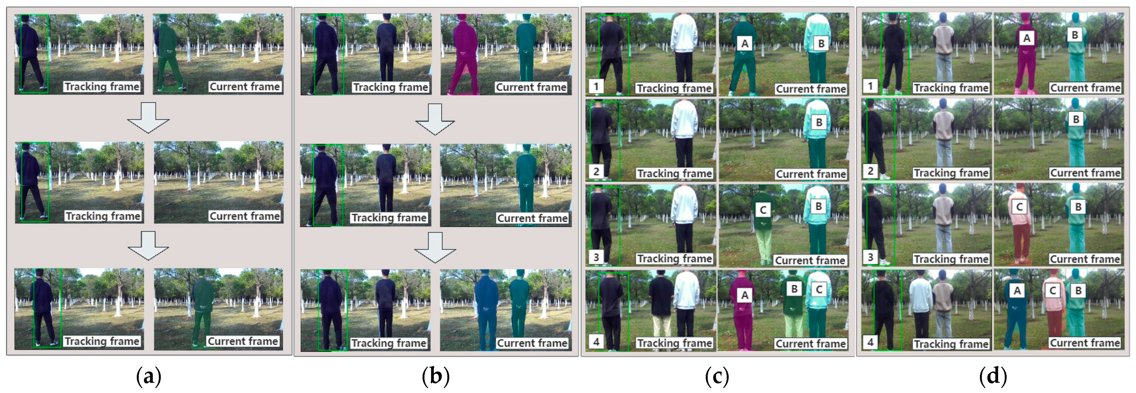 Horticulturae 10 00348 g014
