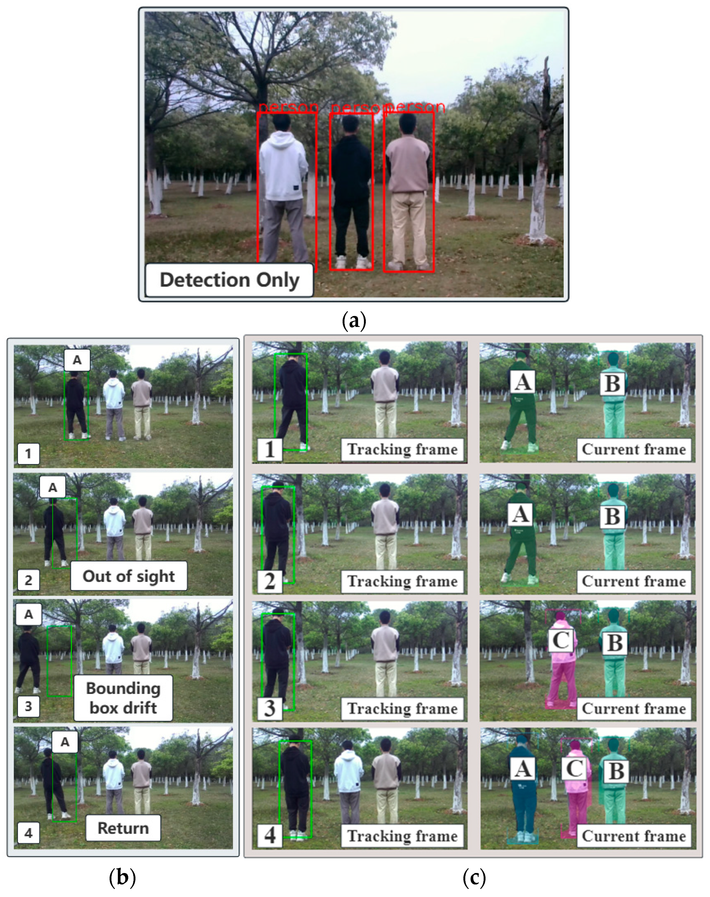Horticulturae 10 00348 g015
