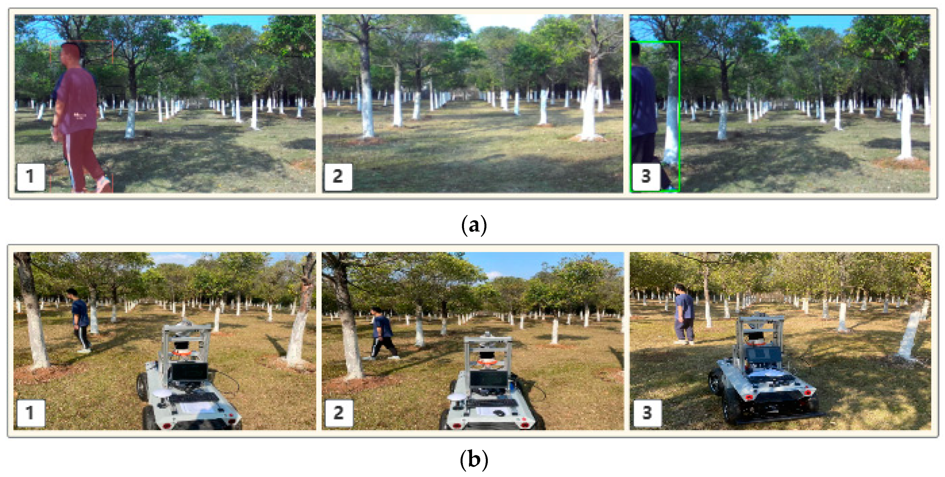 Horticulturae 10 00348 g016