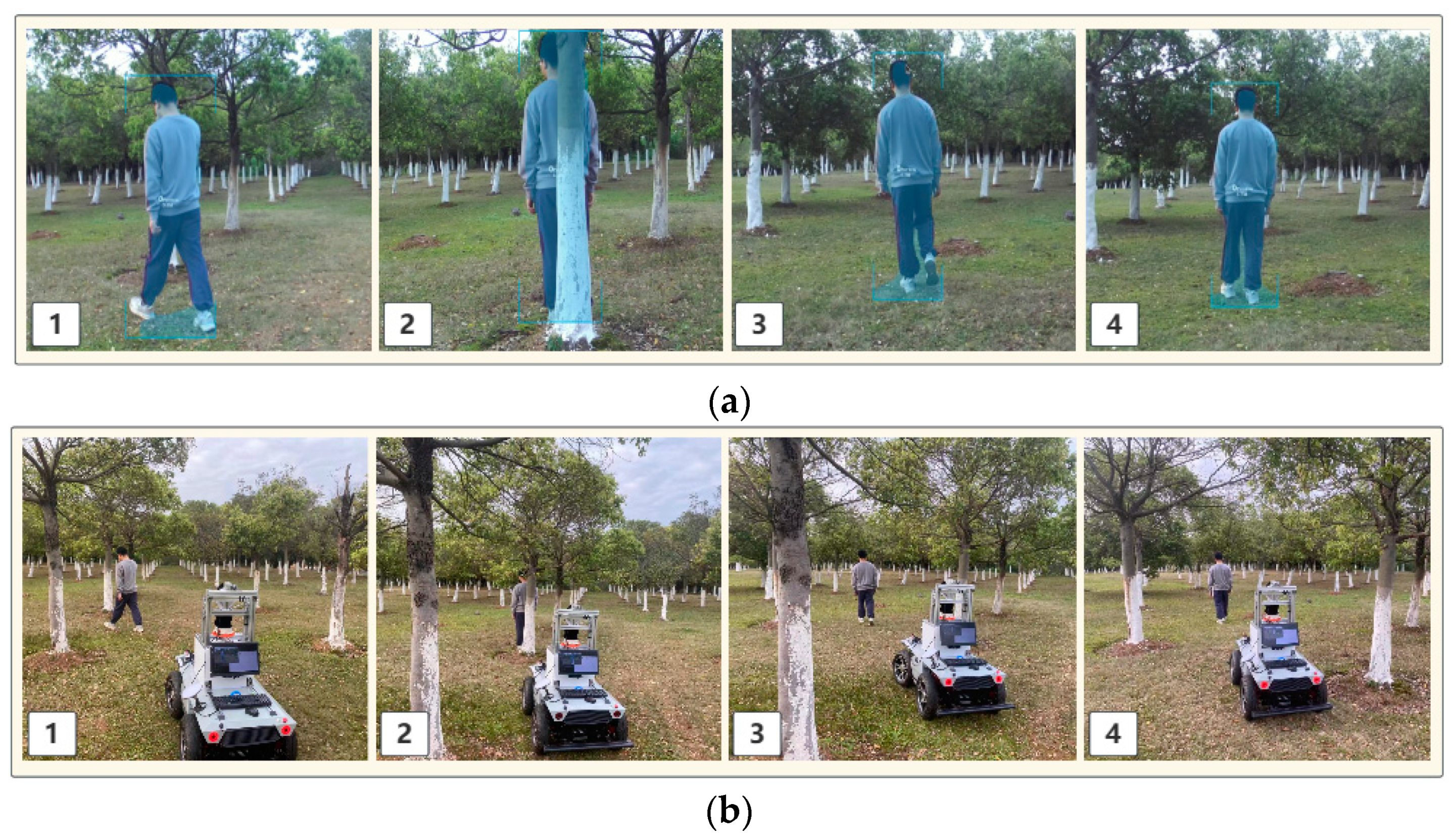 Horticulturae 10 00348 g017