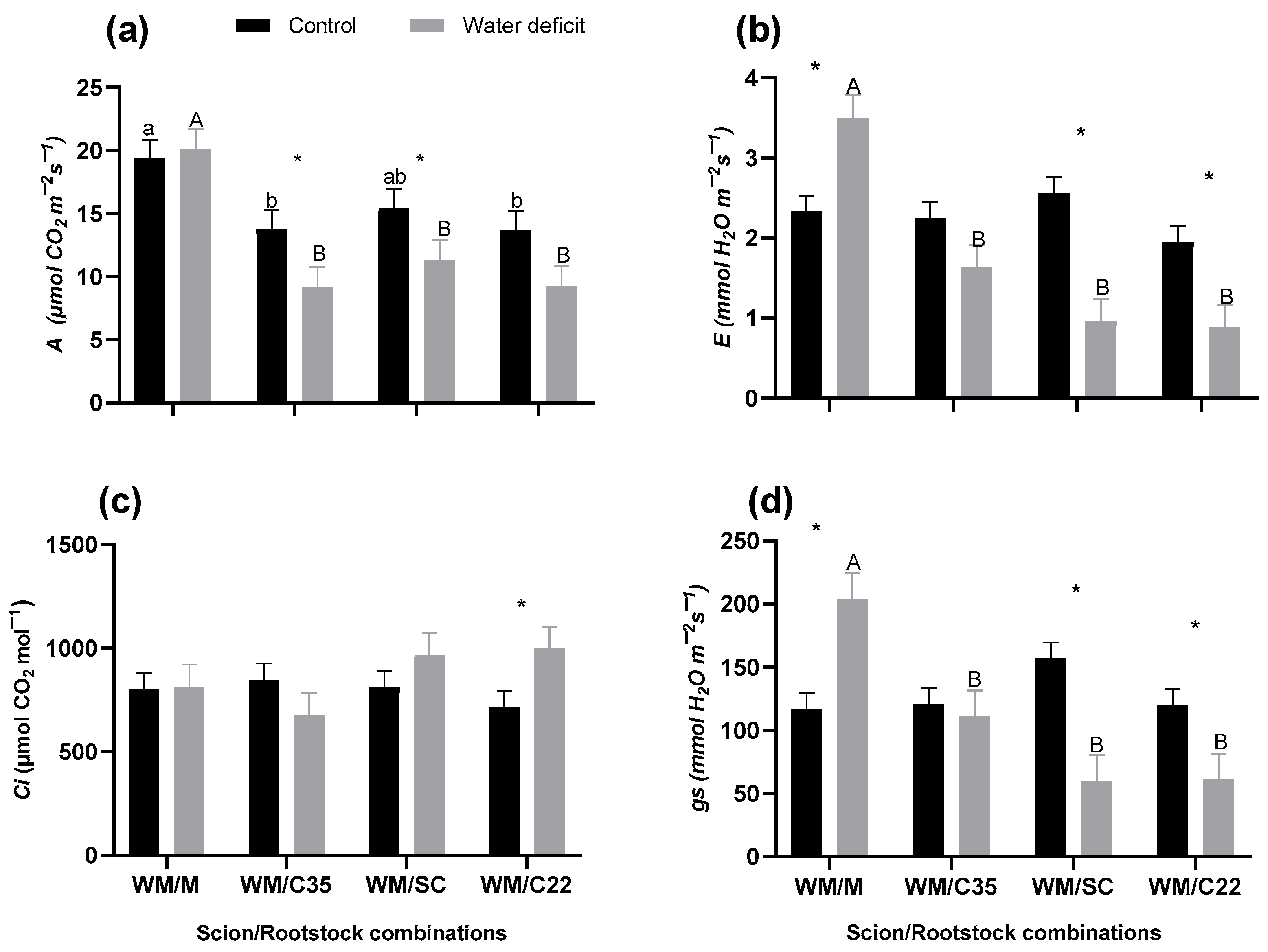 Horticulturae 10 00352 g001