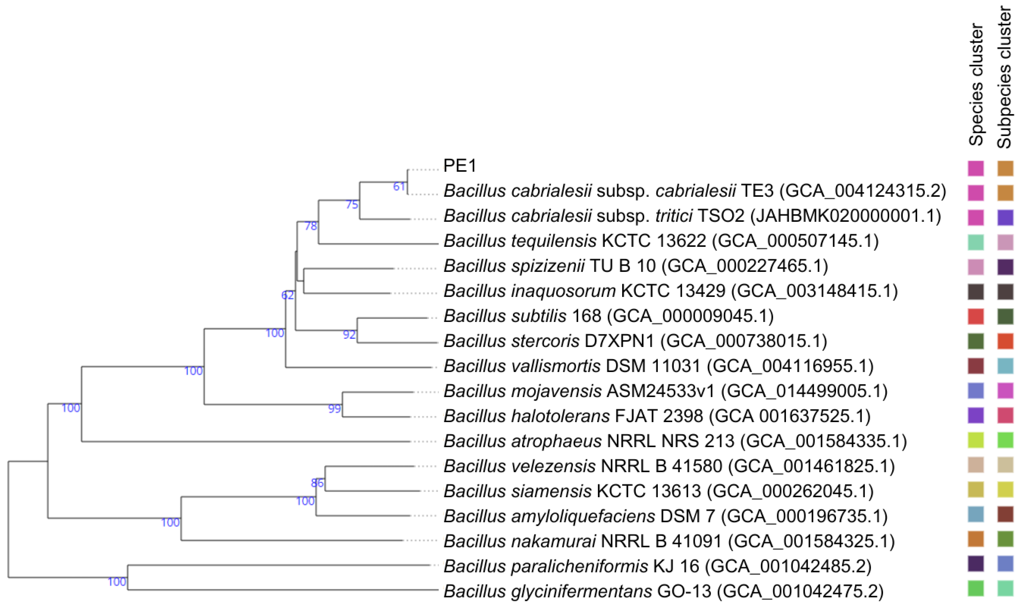 Horticulturae 10 00357 g001