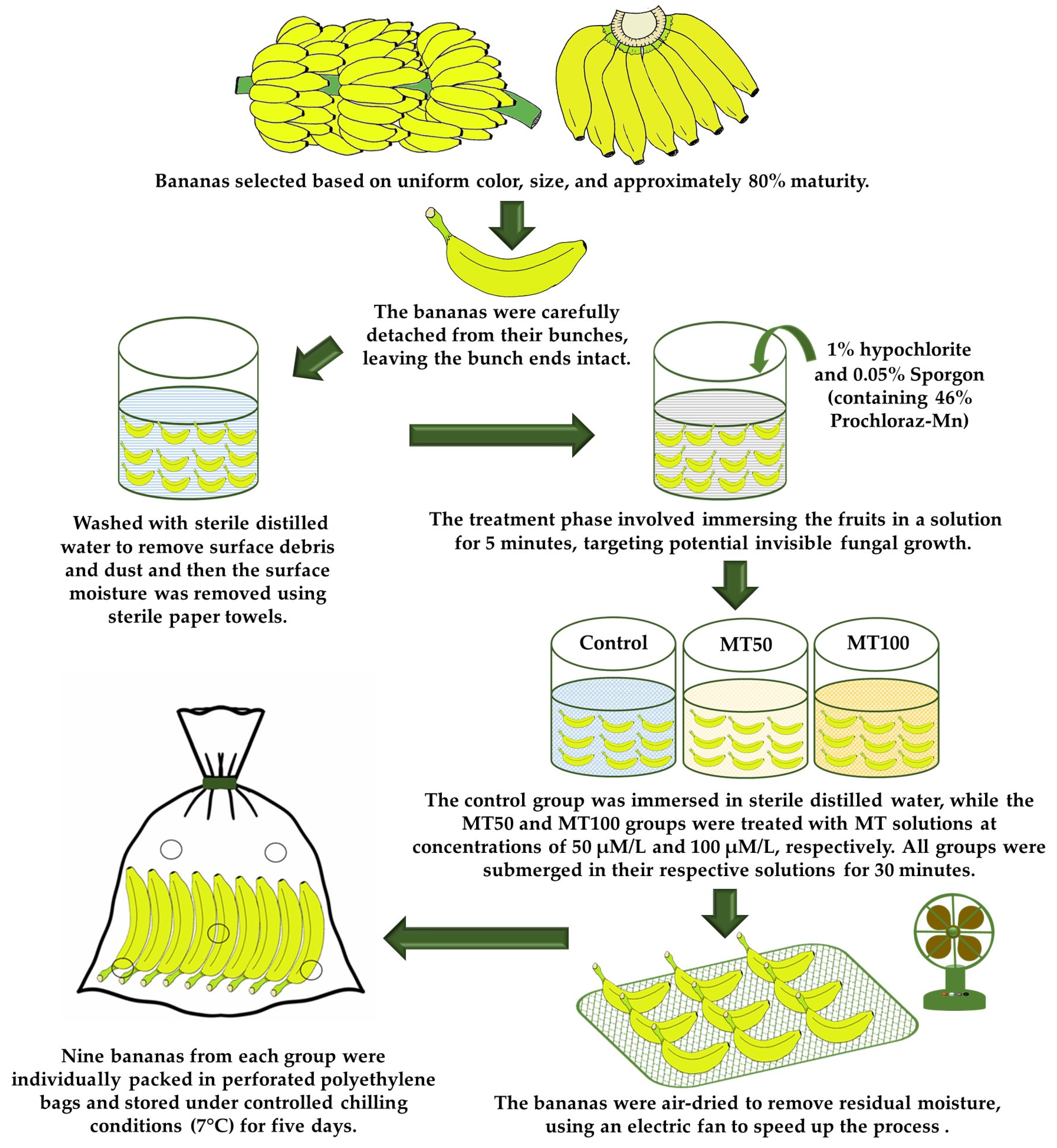 Horticulturae 10 00364 g001