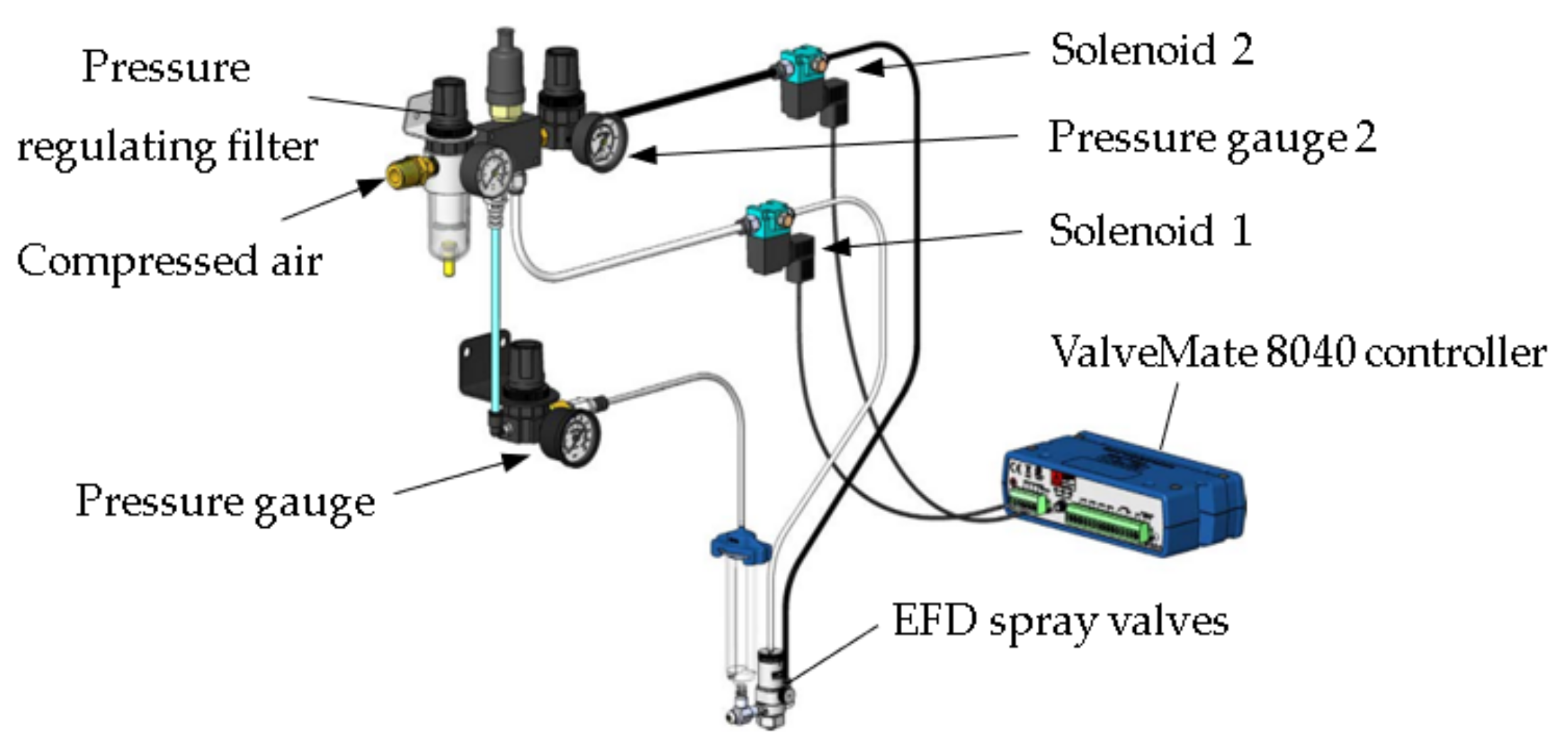 Horticulturae 10 00365 g002