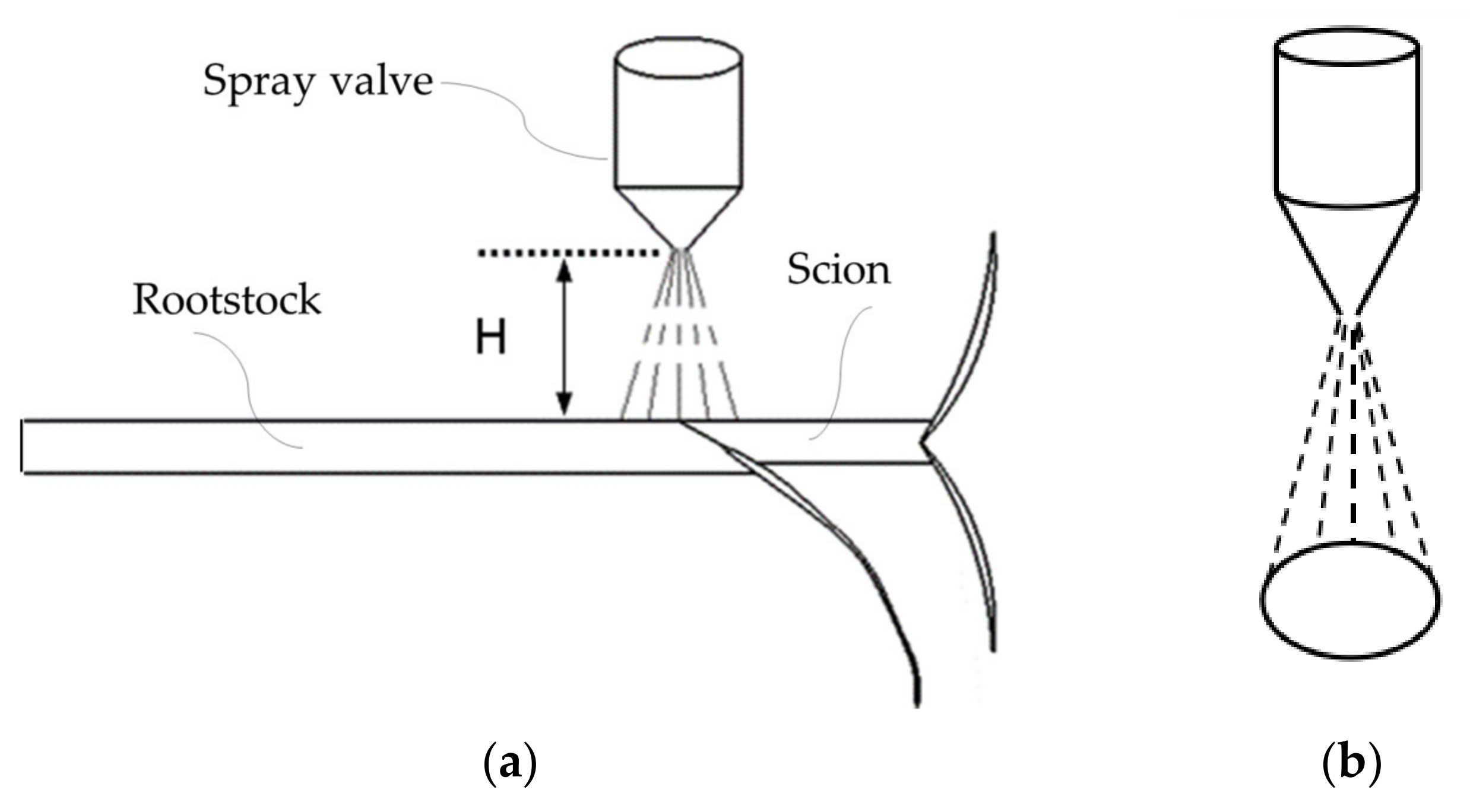 Horticulturae 10 00365 g003