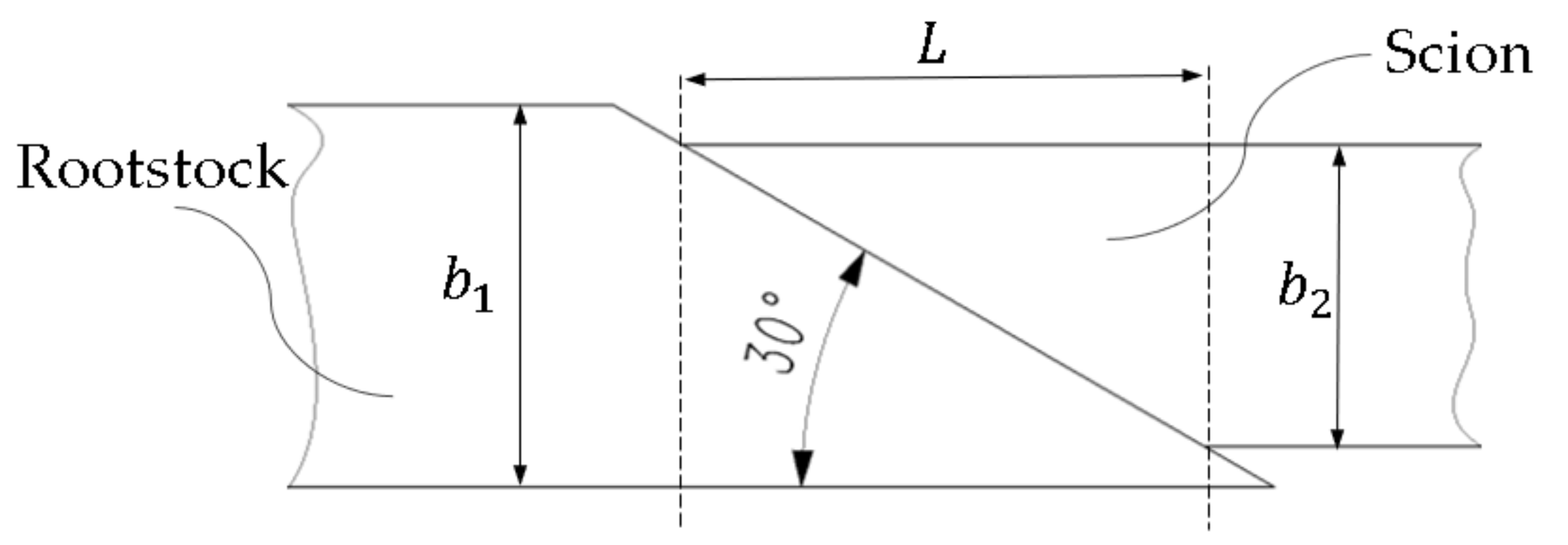 Horticulturae 10 00365 g006