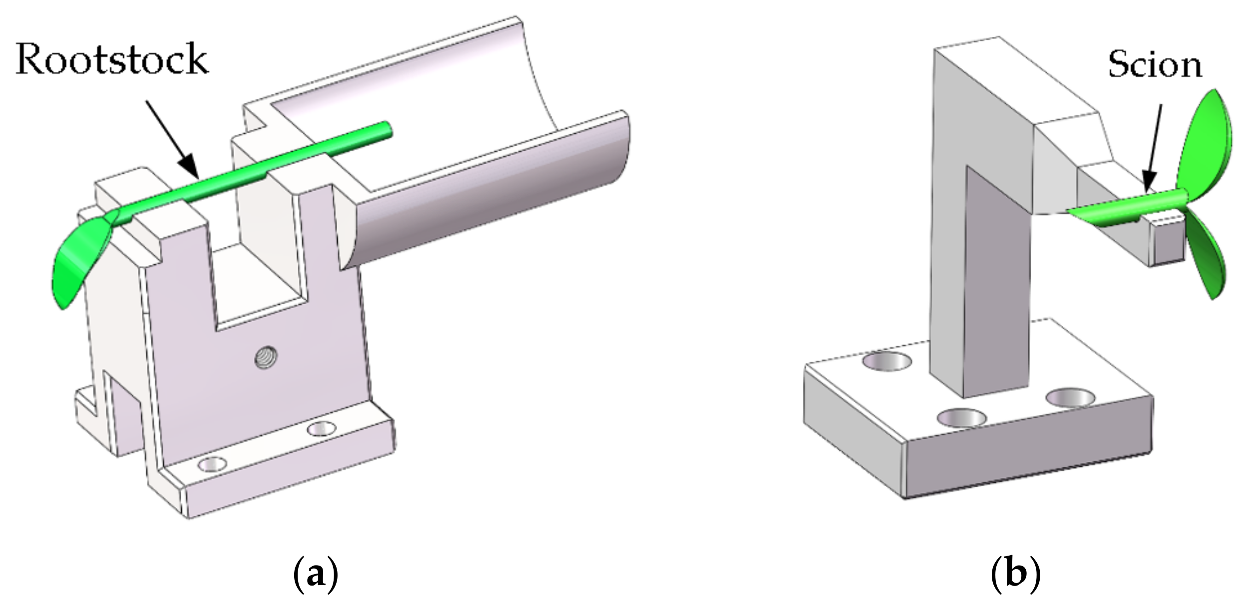 Horticulturae 10 00365 g010
