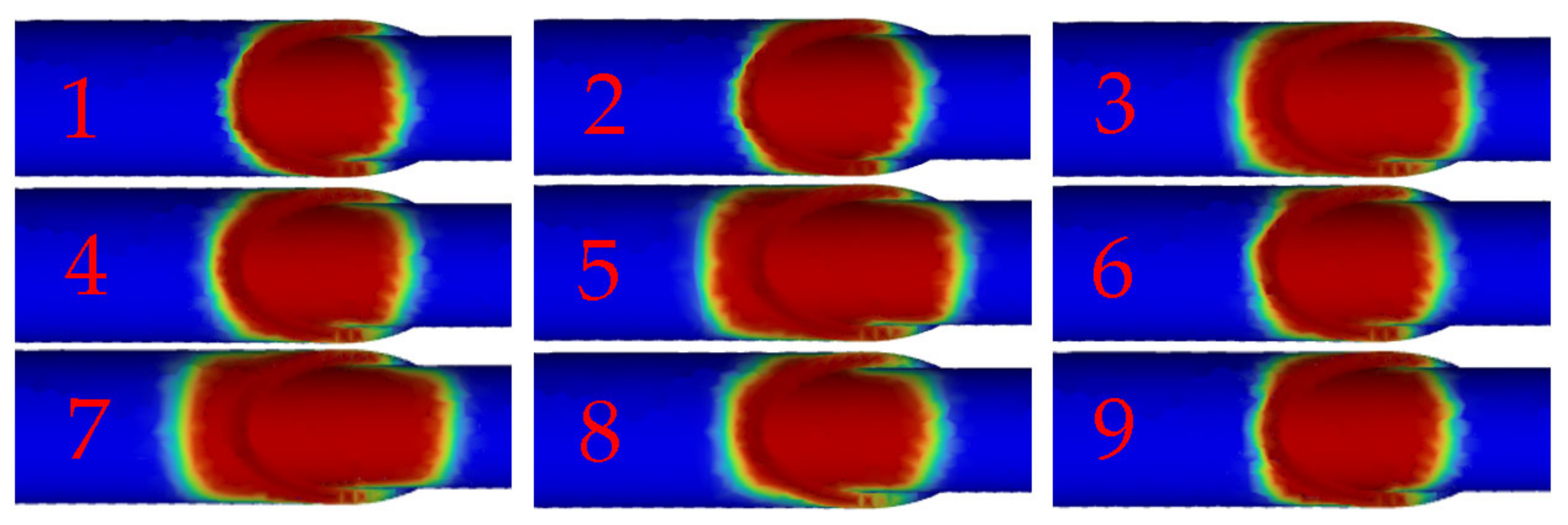 Horticulturae 10 00365 g017