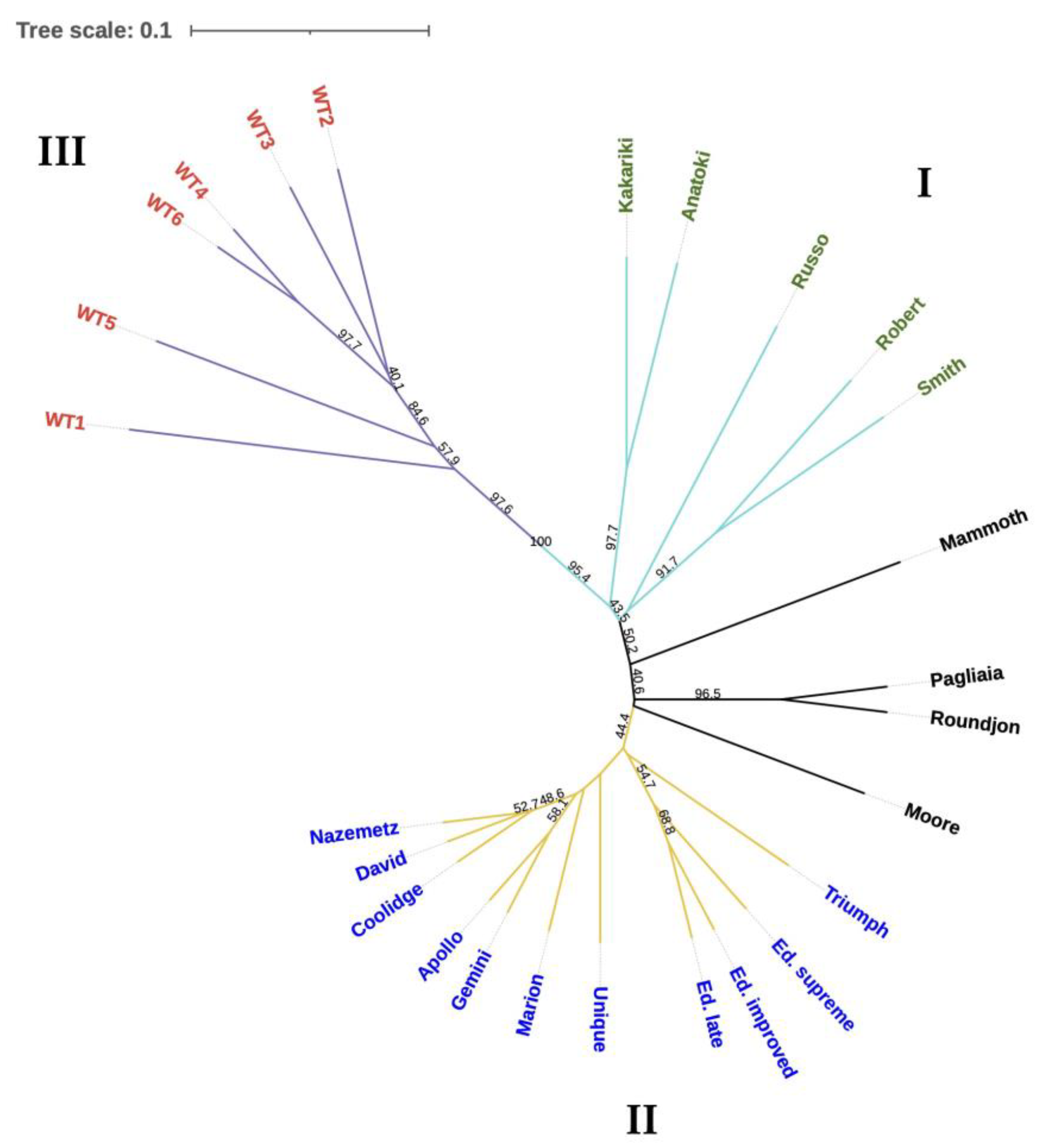 Horticulturae 10 00366 g002
