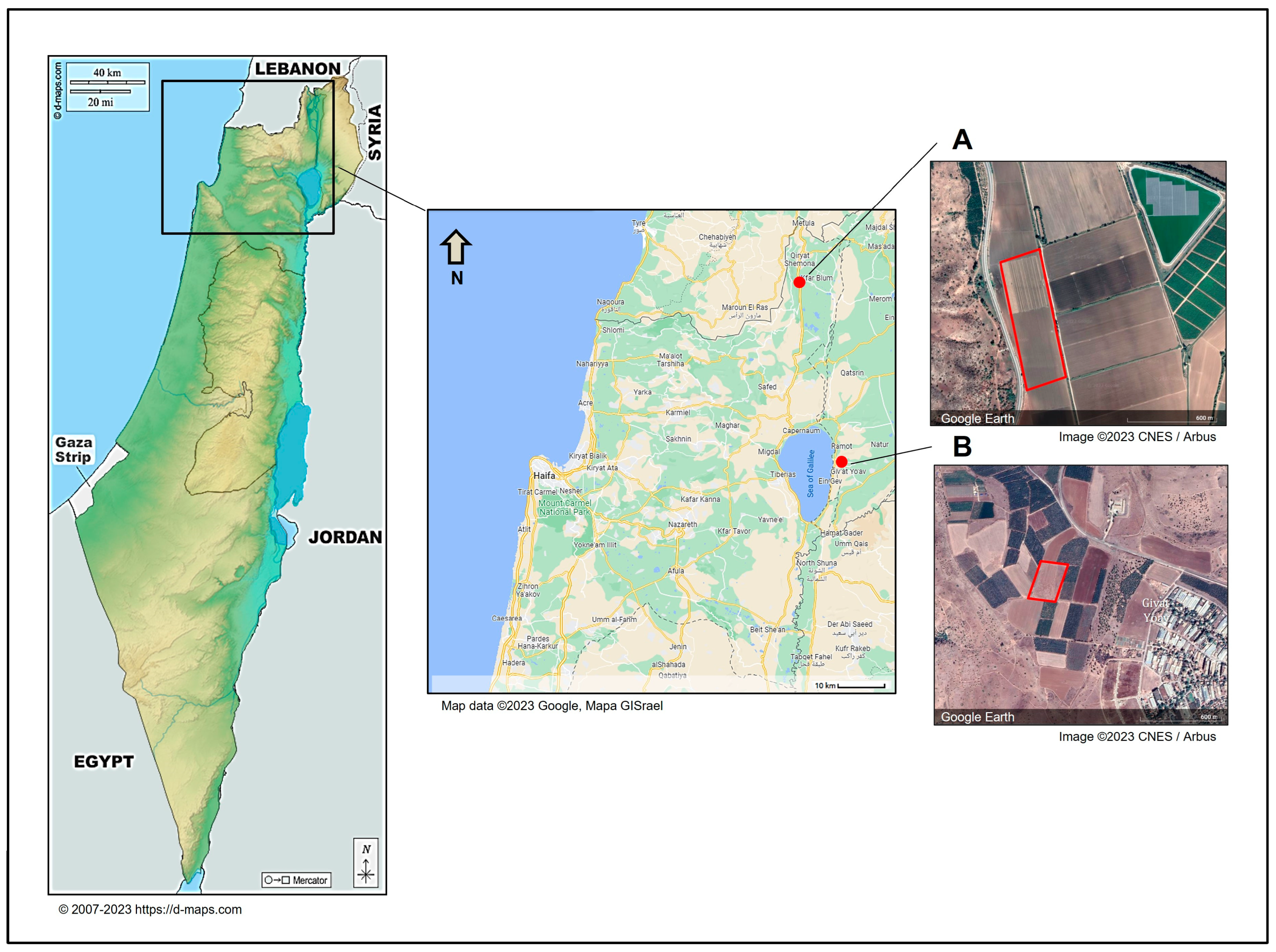 Horticulturae 10 00373 g001