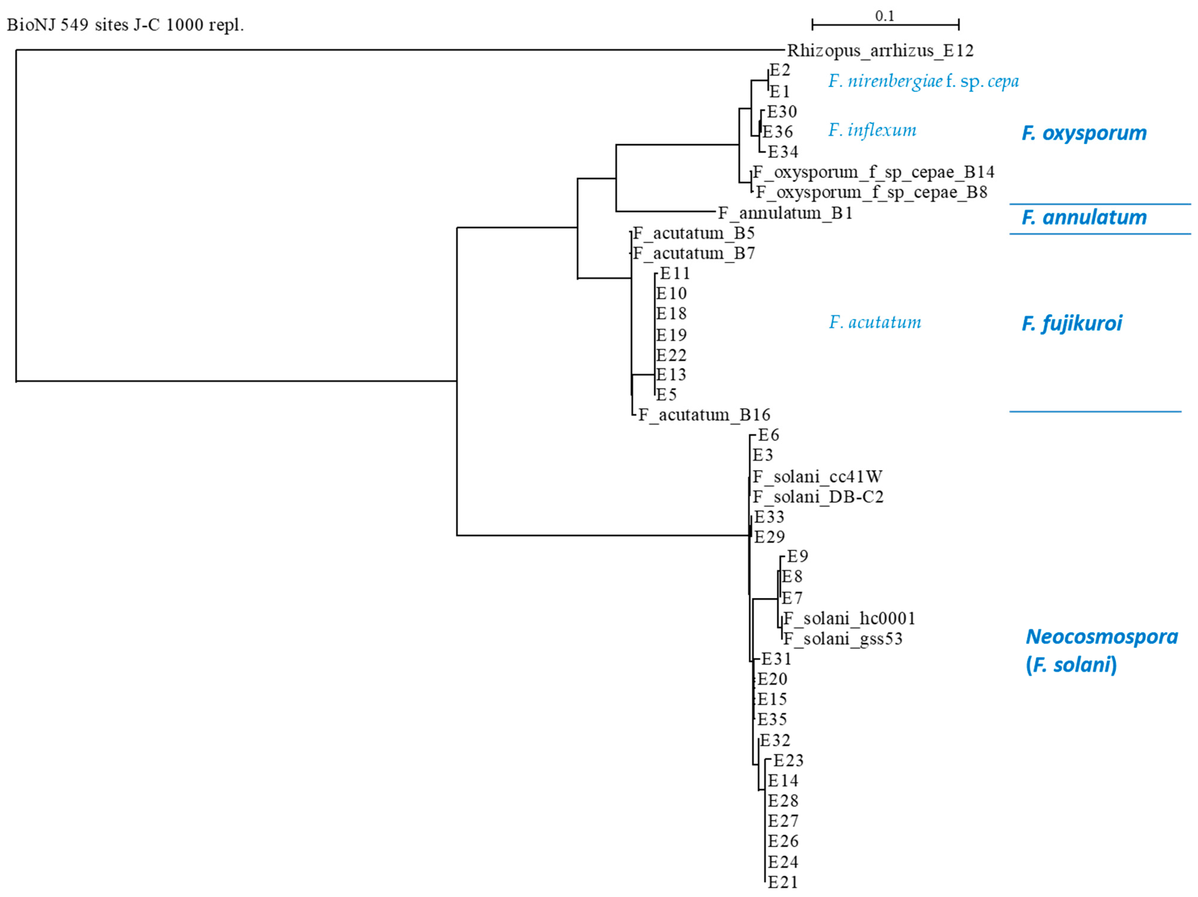 Horticulturae 10 00373 g006