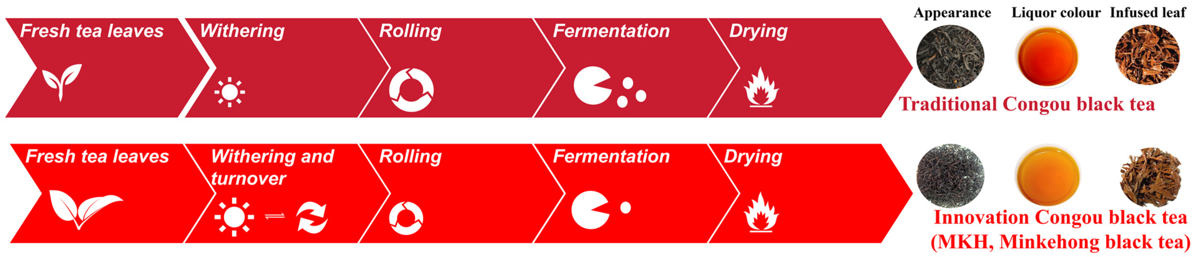 Horticulturae 10 00374 g001