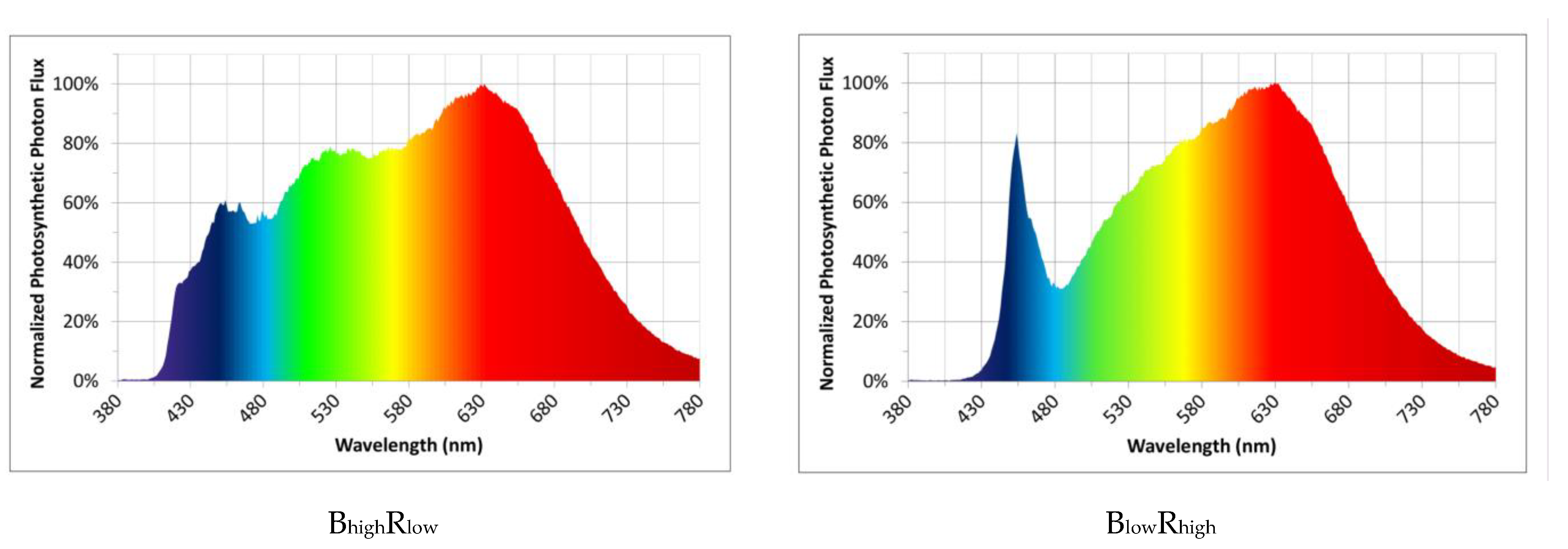 Horticulturae 10 00375 g001
