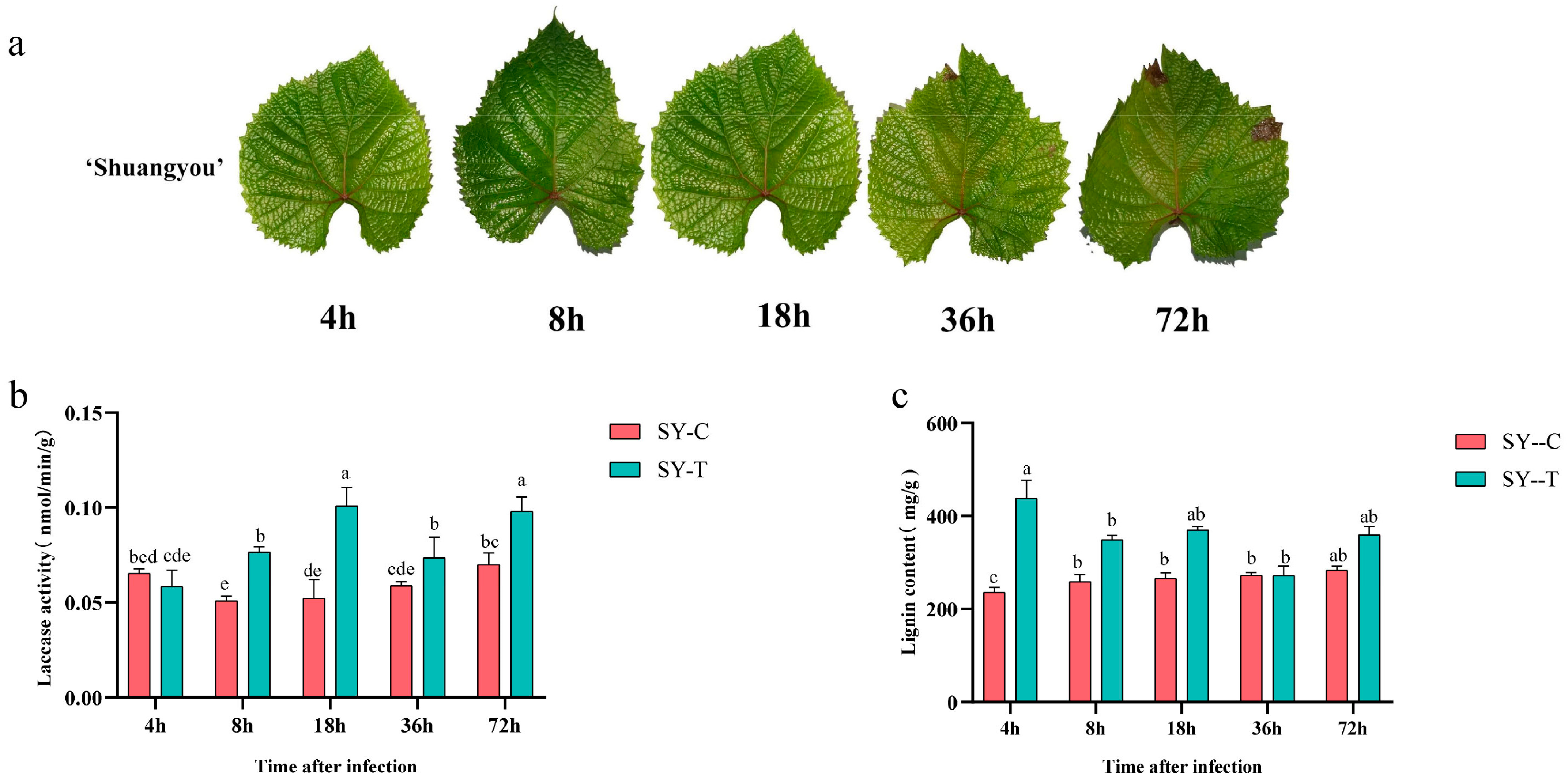 Horticulturae 10 00376 g001