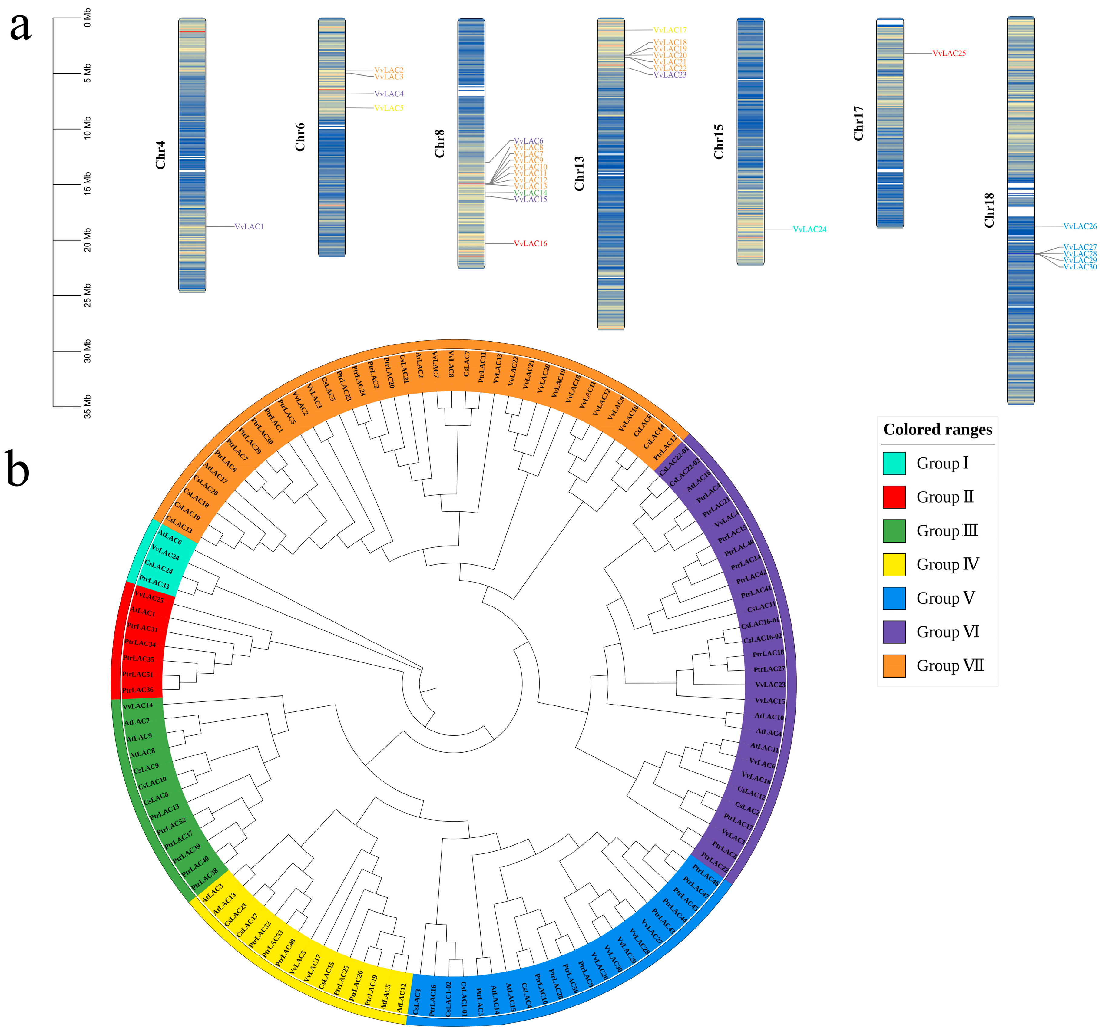 Horticulturae 10 00376 g002