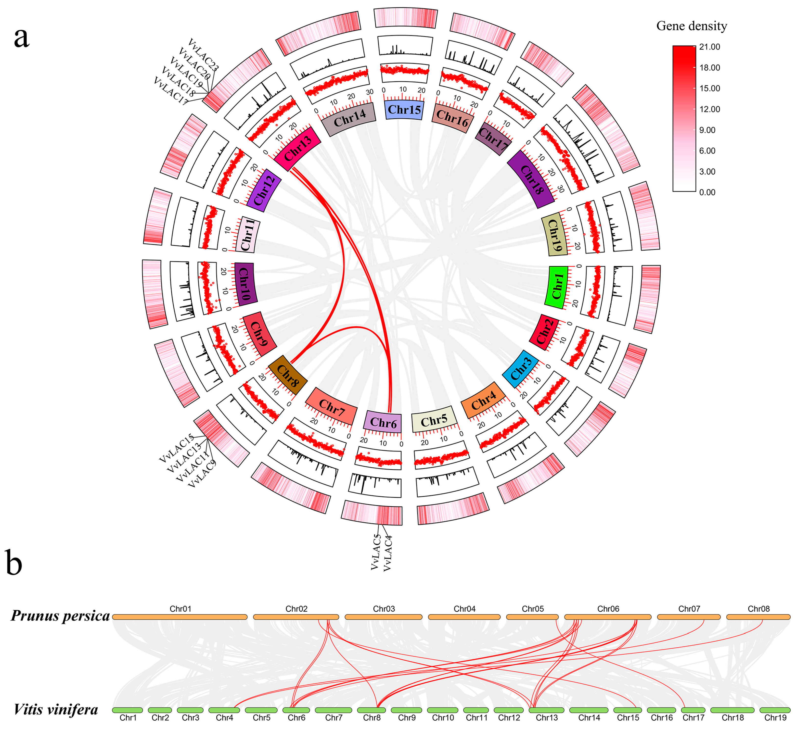 Horticulturae 10 00376 g003