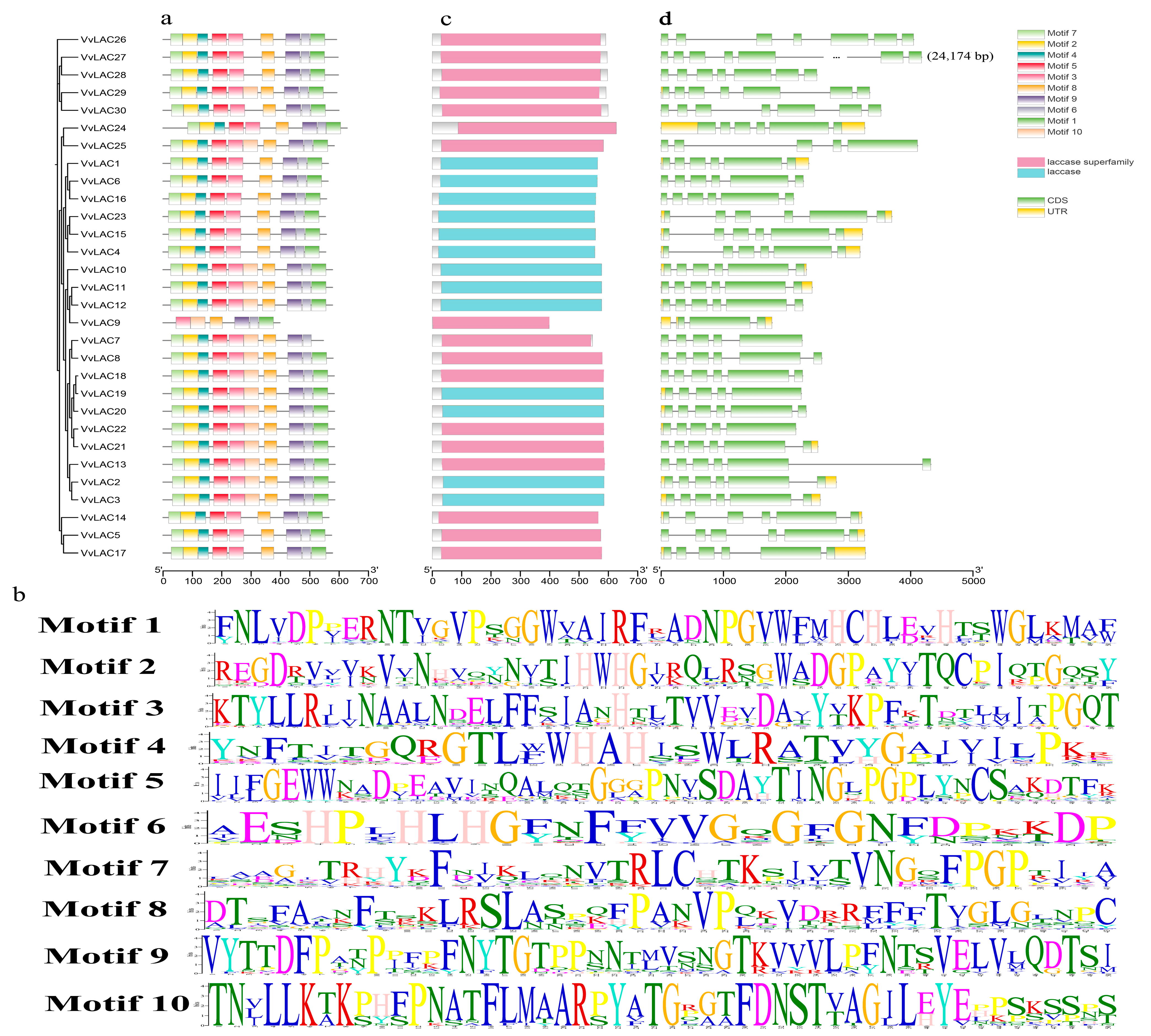 Horticulturae 10 00376 g004