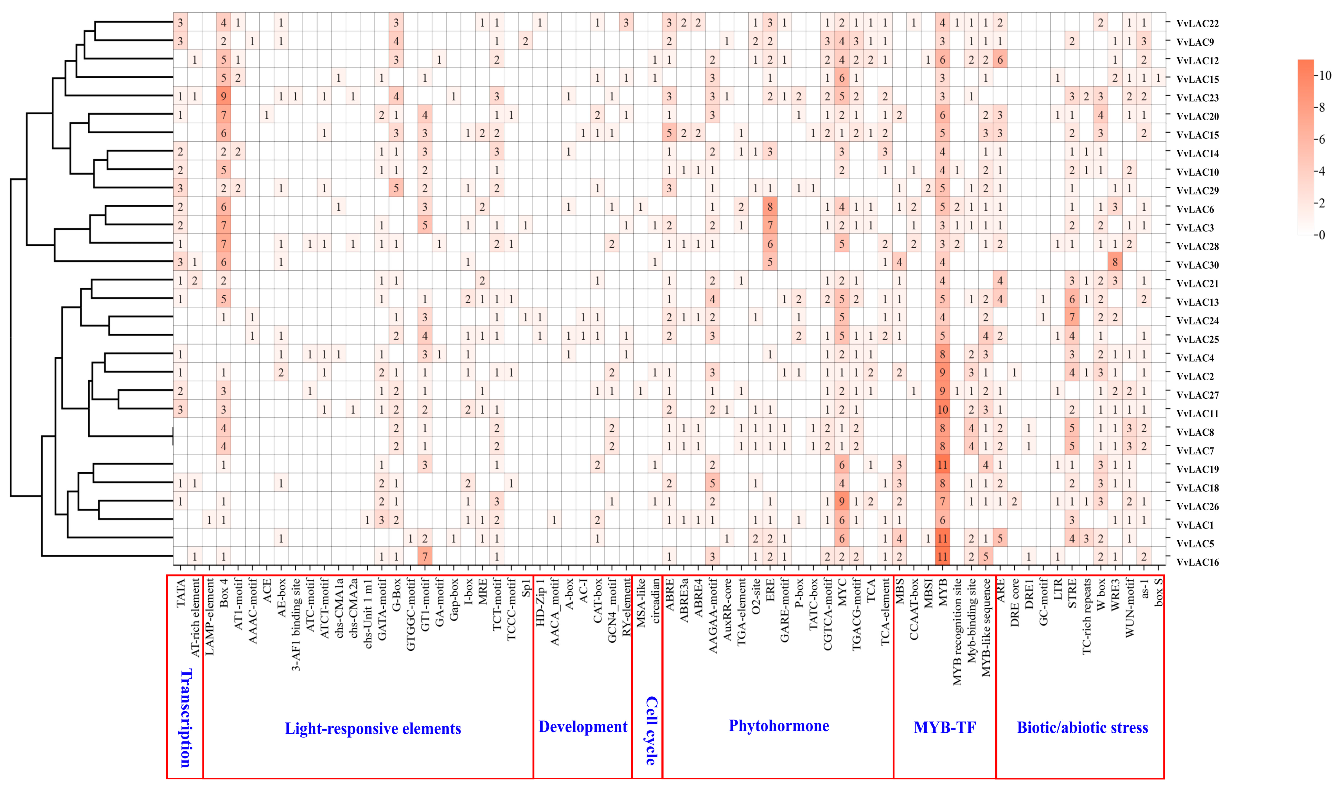 Horticulturae 10 00376 g006